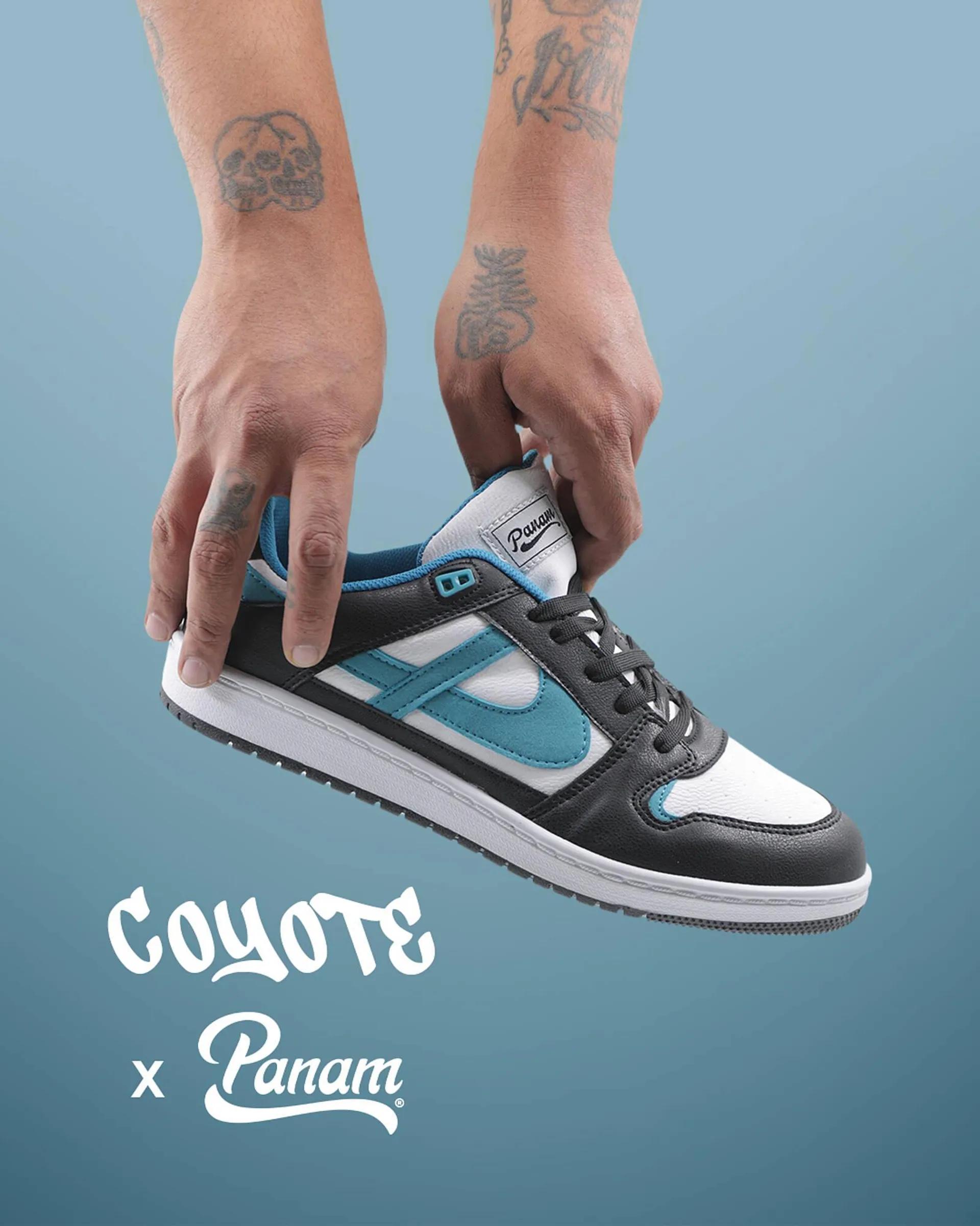 Catálogo Panam - 1