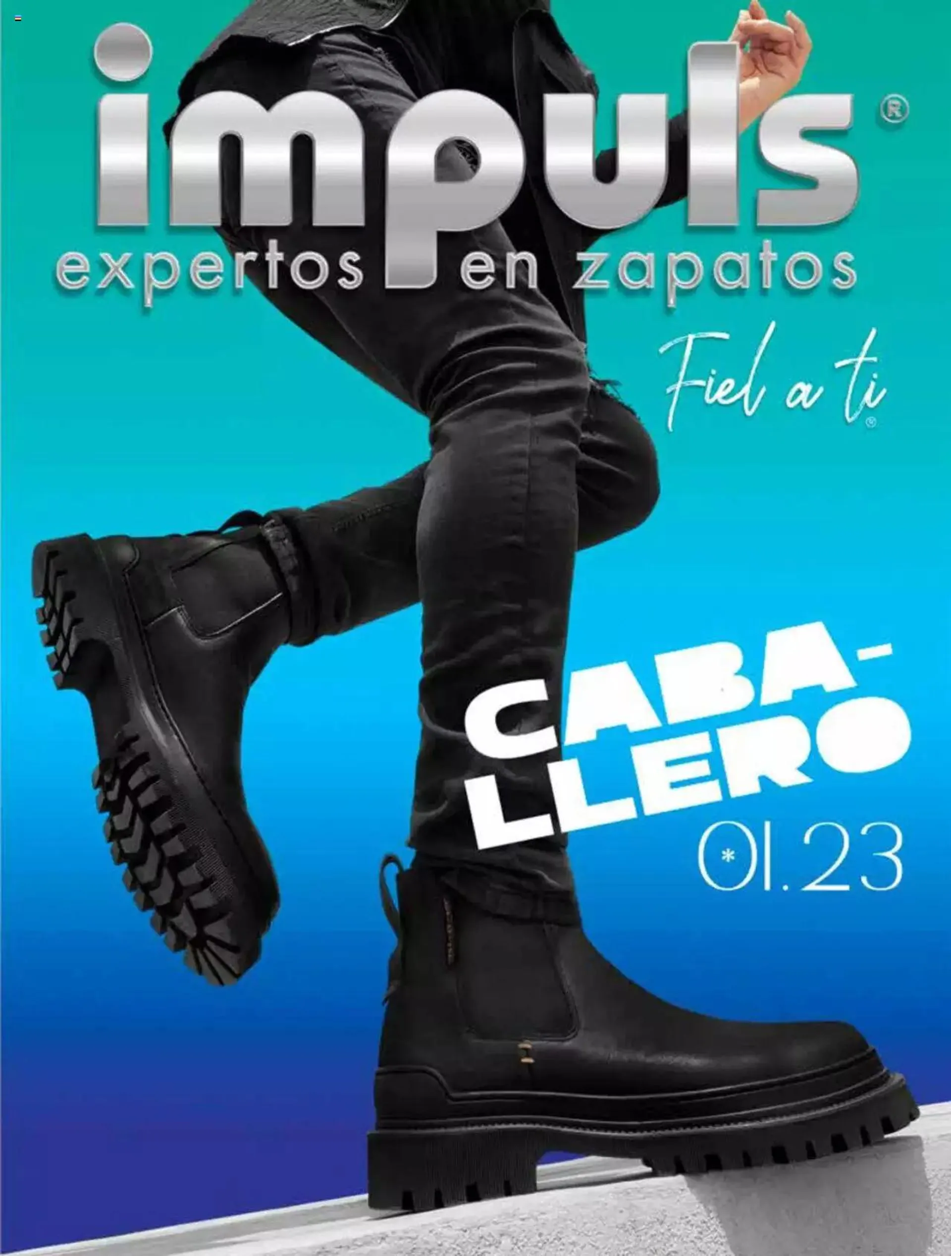 Catalogo impuls 2019 caballero pdf new arrivals