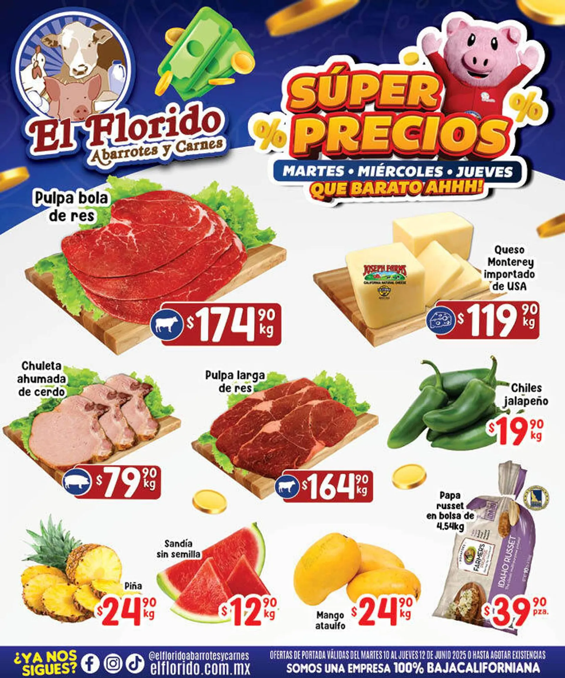 Catálogo El Florido - 1