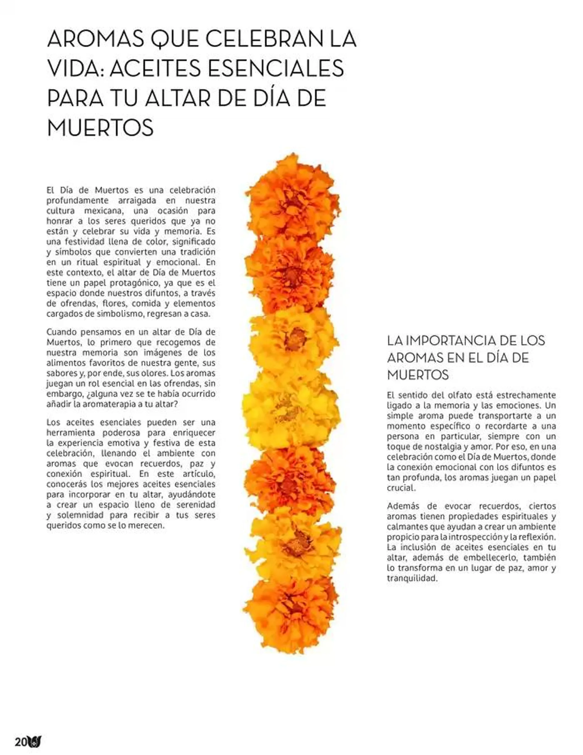 Catálogo de Fraiche Magazine 26 de noviembre al 2 de diciembre 2024 - Pagina 22