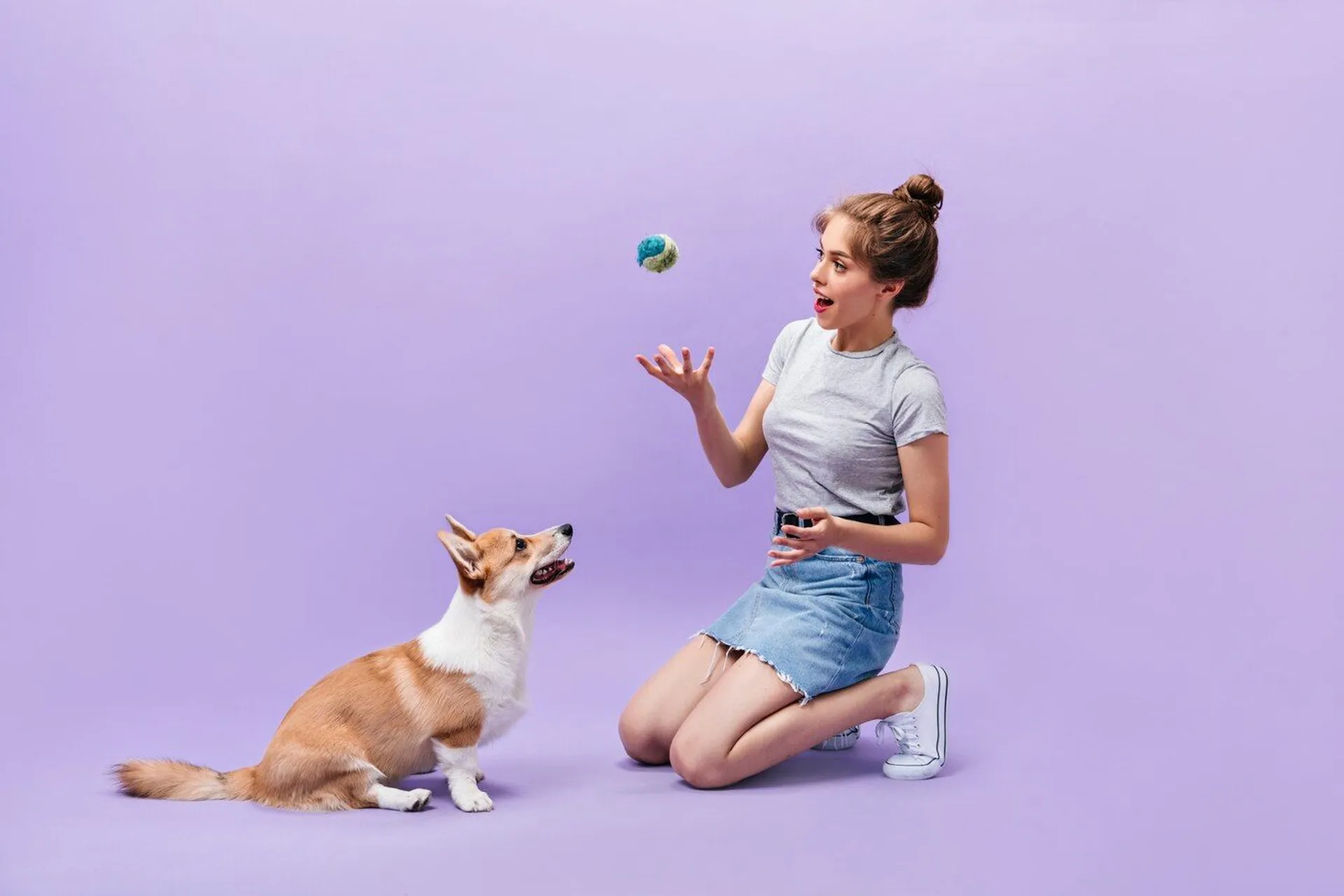 3 tekenen dat uw hond niet genoeg vermaakt wordt