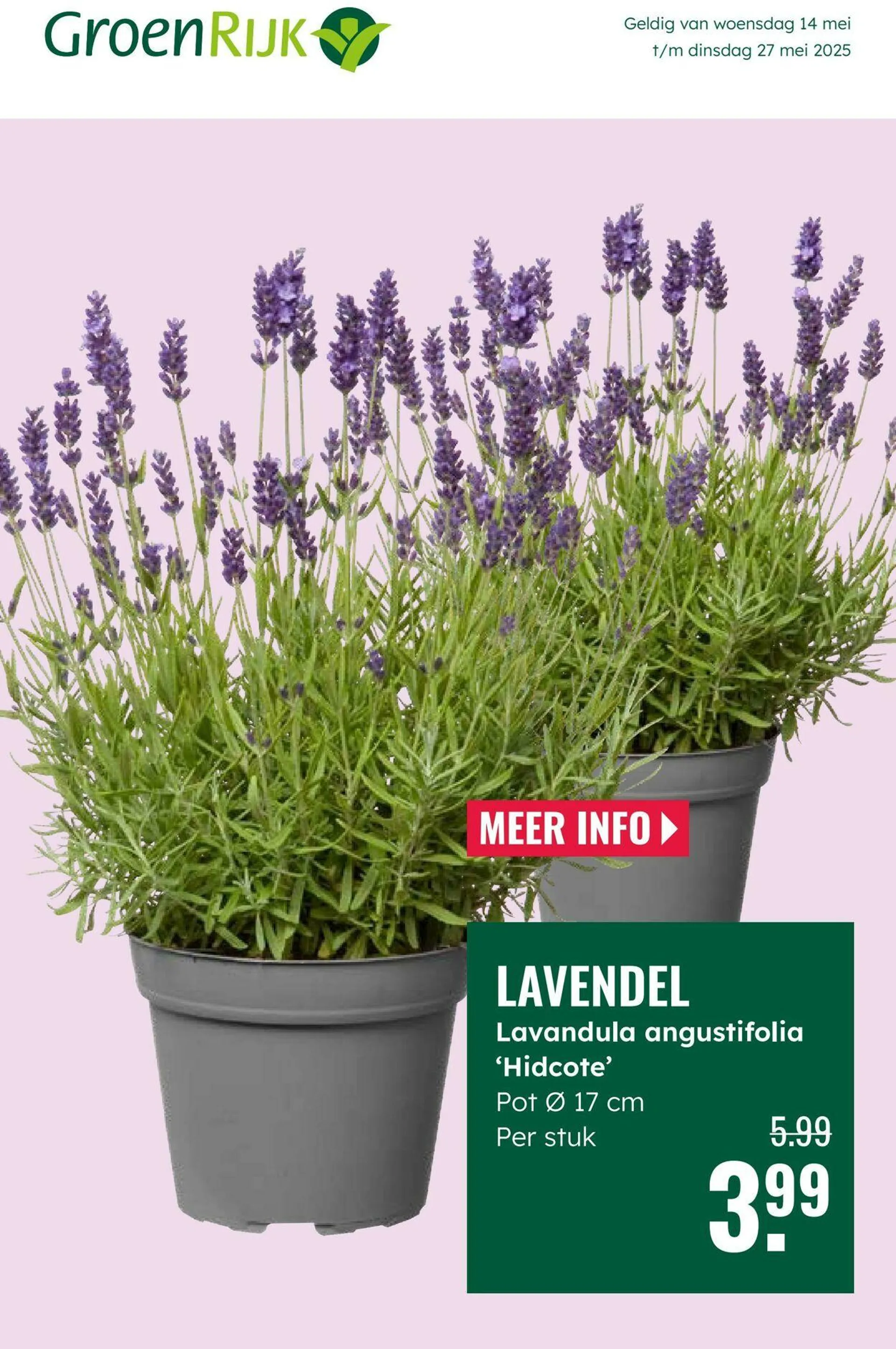 GroenRijk Actuele folder van 19 augustus tot 2 september 2025 - Folder pagina 1