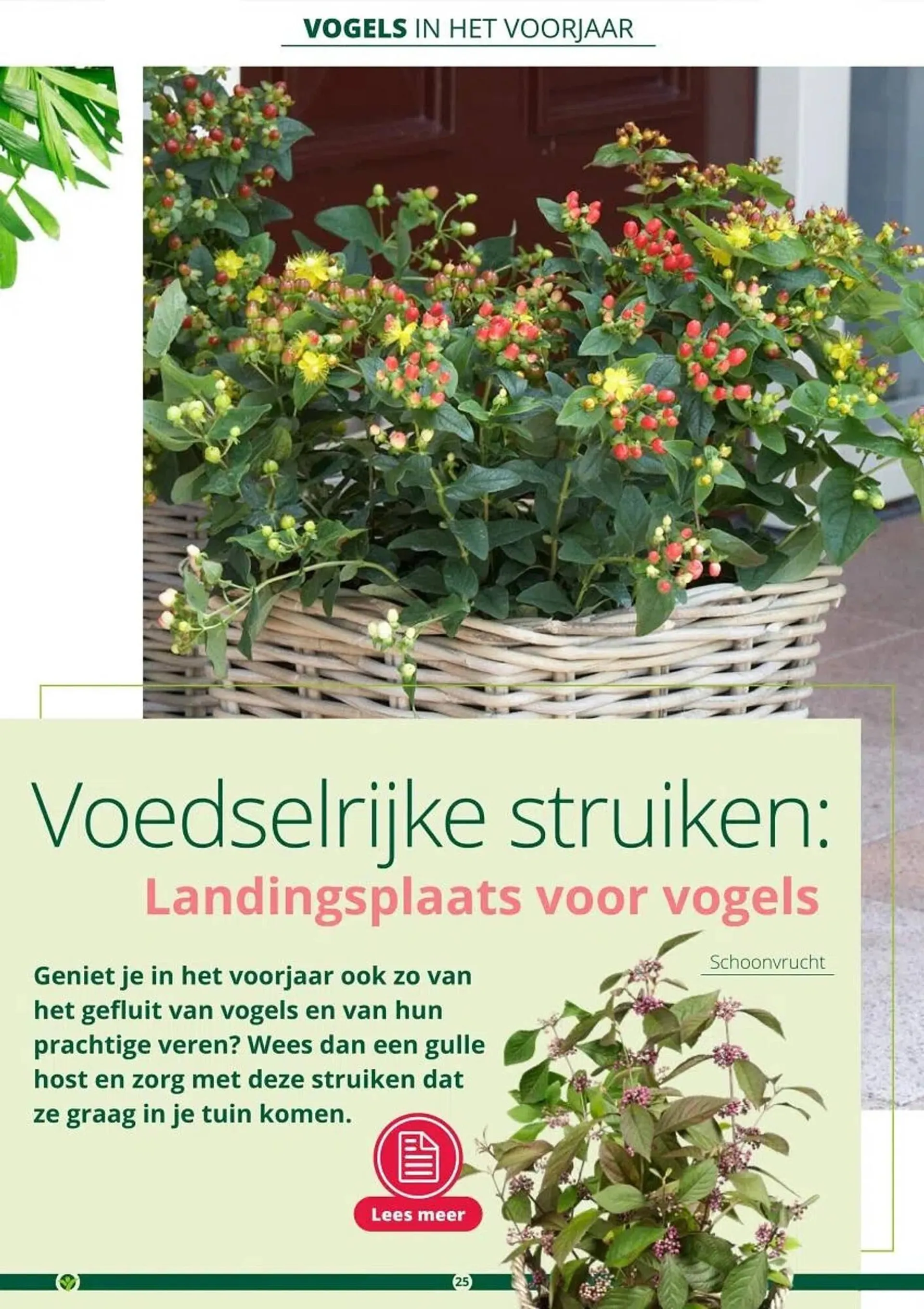 GroenRijk folder van 1 maart tot 30 juni 2024 - Folder pagina 25