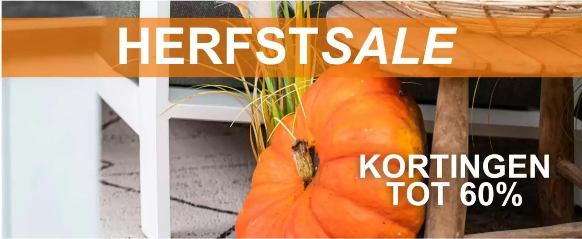  10% extra korting van 28 oktober tot 11 november 2024 - Folder pagina 2