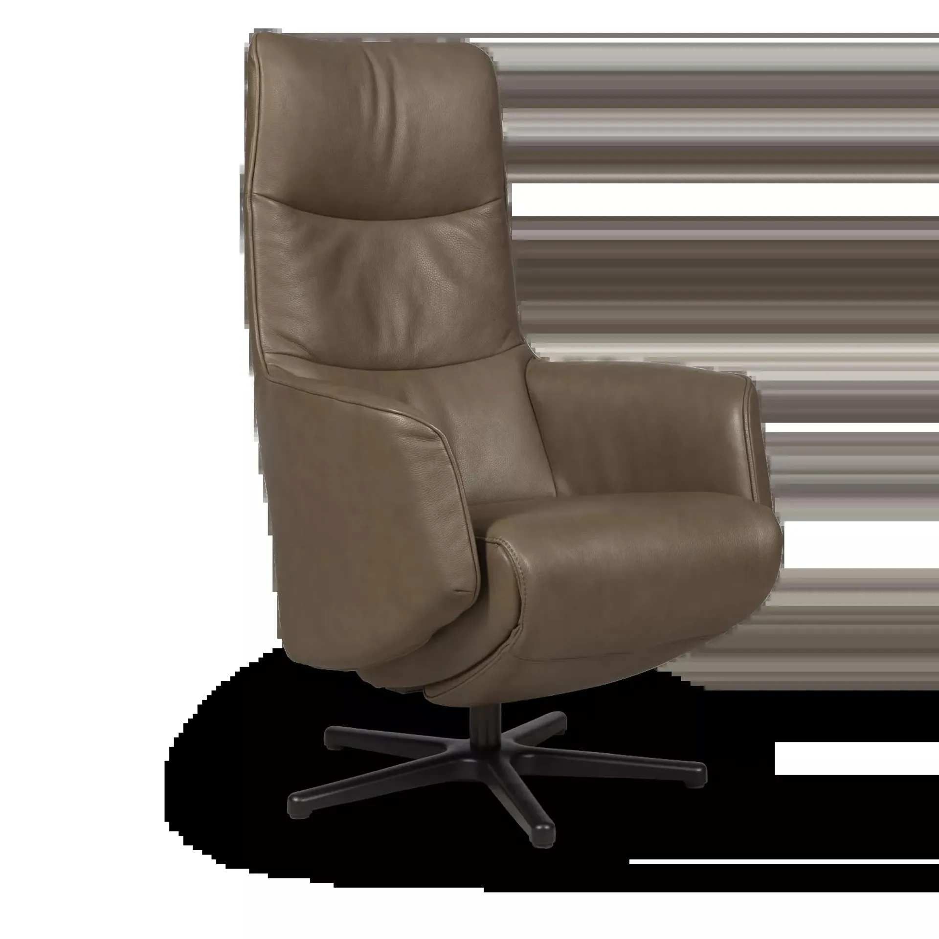 Relaxfauteuil (large - voet 88) Splendid TW083 - Oasis 160