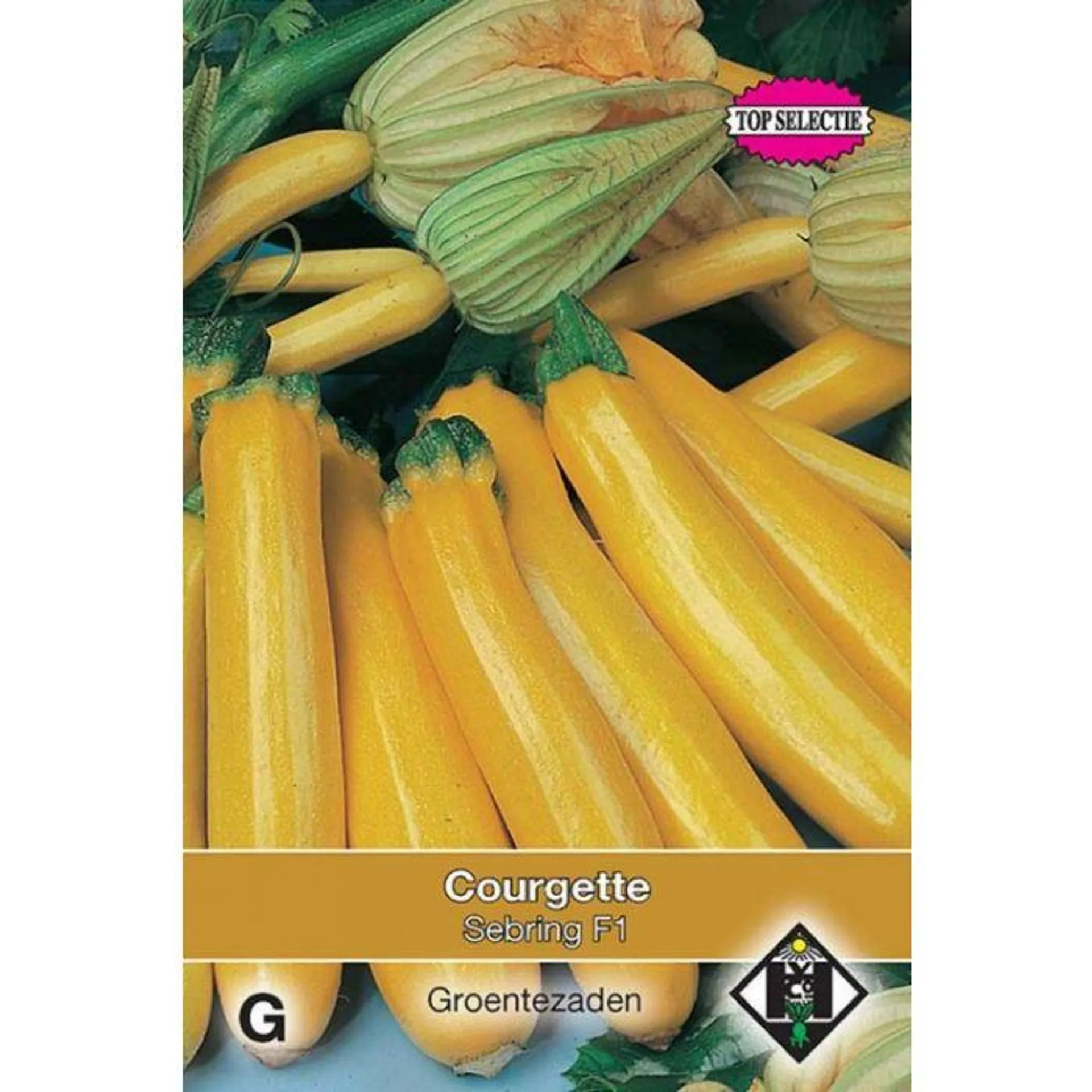 Courgette - Yellowstar F1