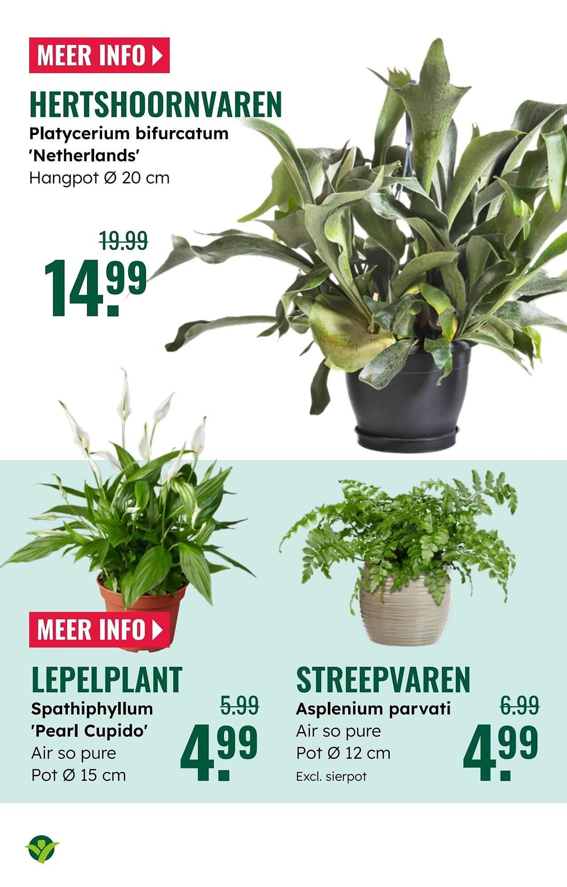 GroenRijk folder van 7 mei tot 13 mei 2025 - Folder pagina 22