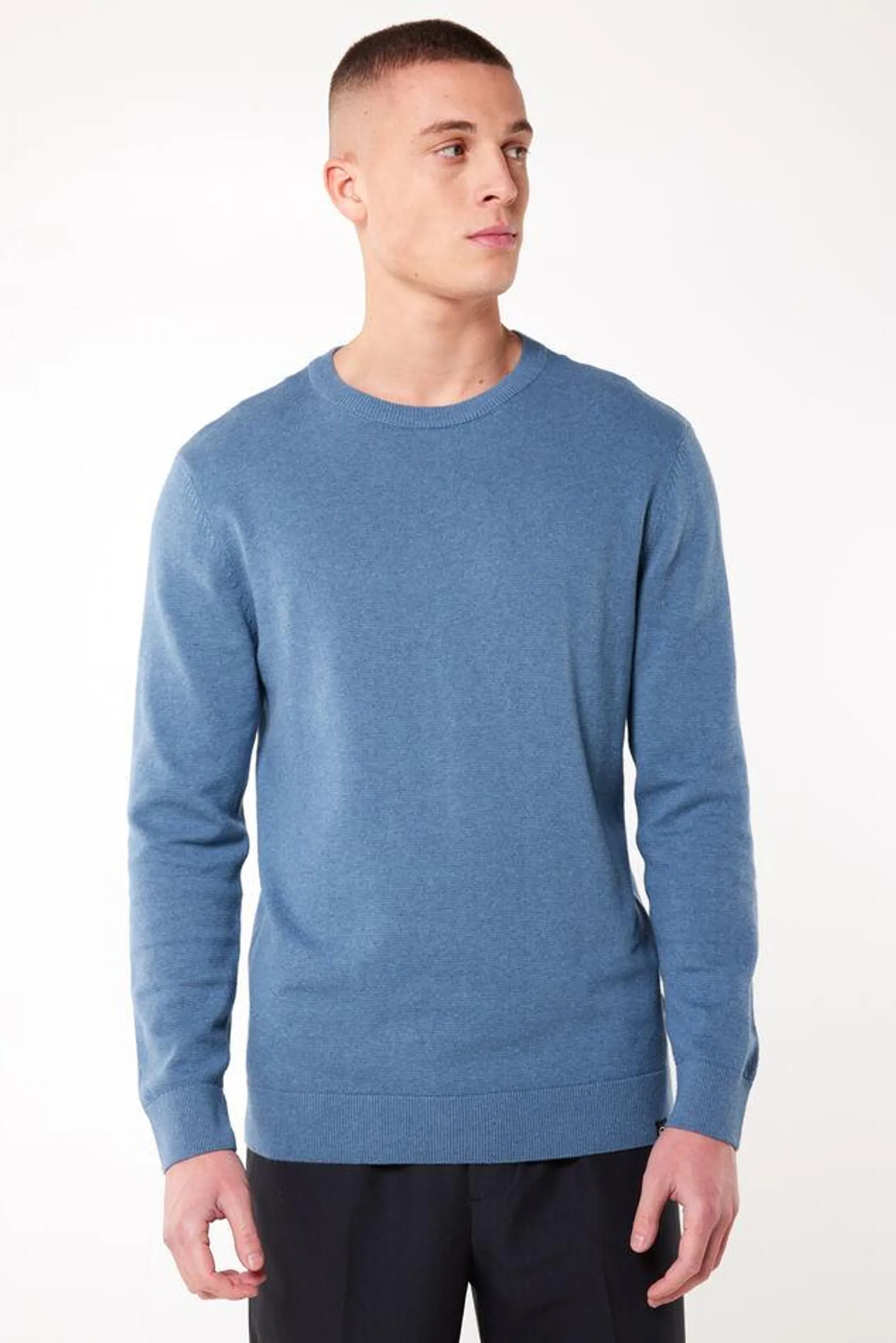 Heren pullover in regular fit met ronde halslijn