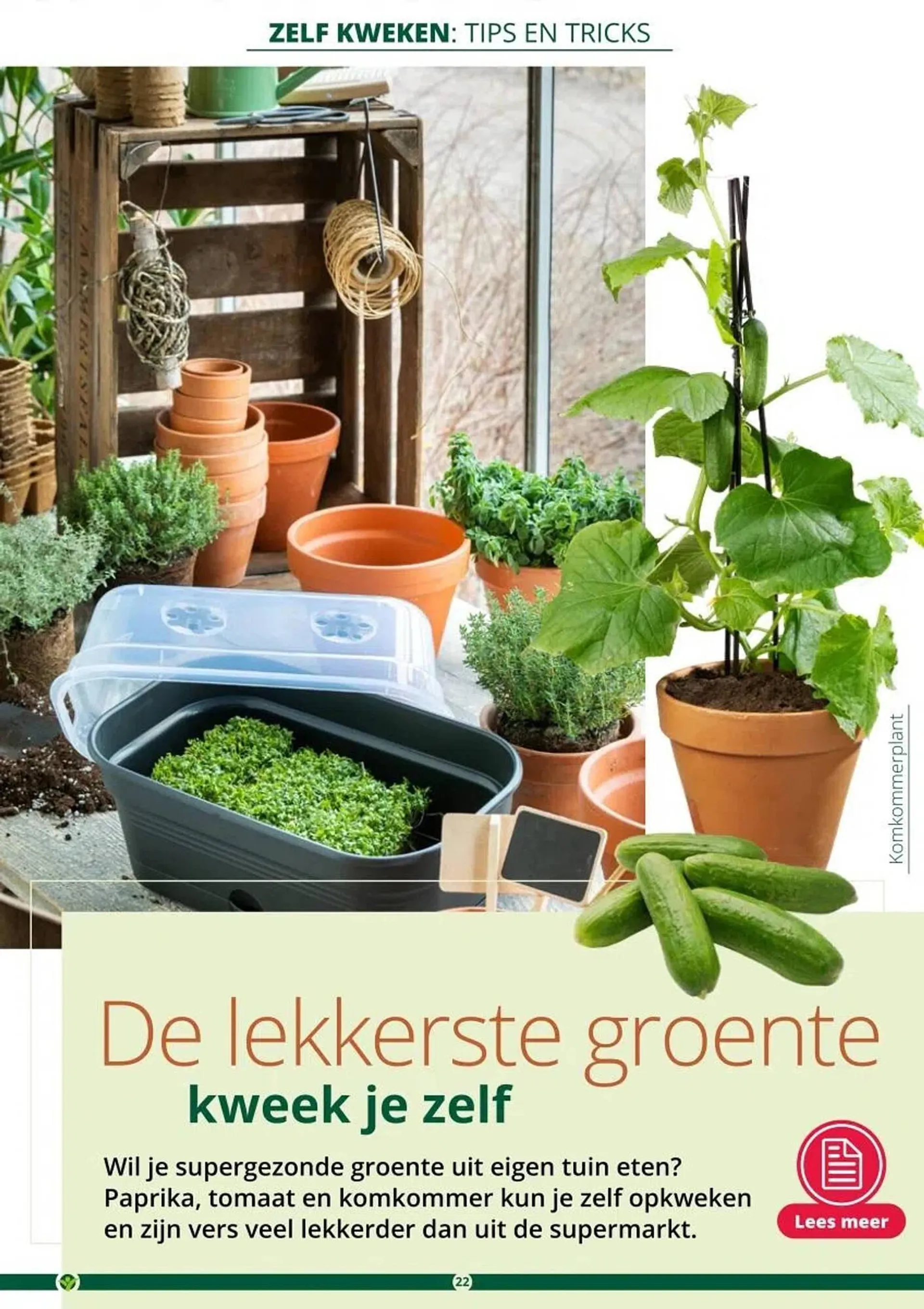 GroenRijk folder van 1 maart tot 30 juni 2024 - Folder pagina 22