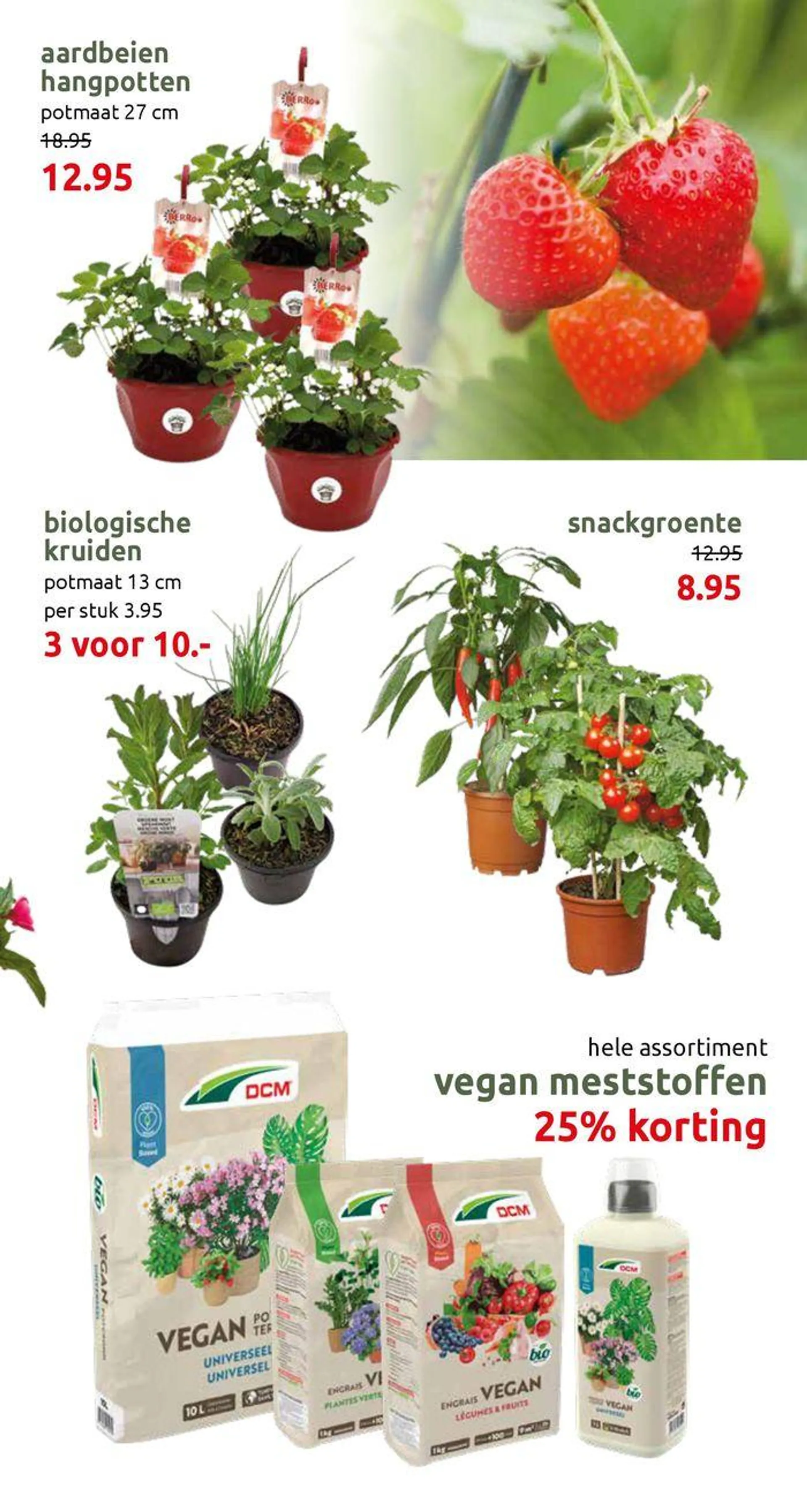 Kleurrijke variaties - 9