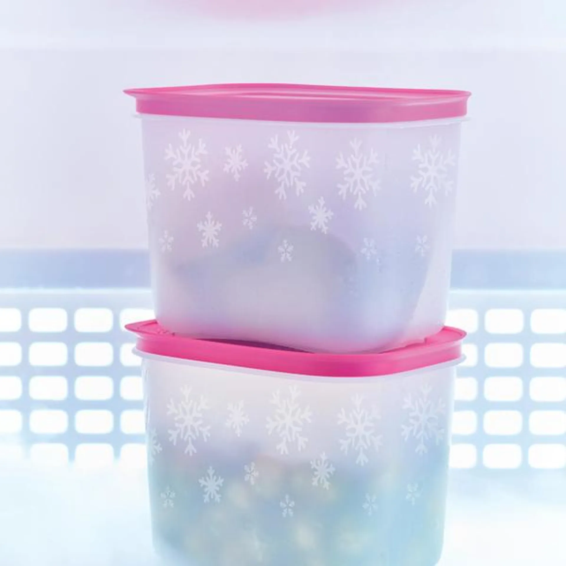 Tupperware Diepvriesdoos 1,1L (2)