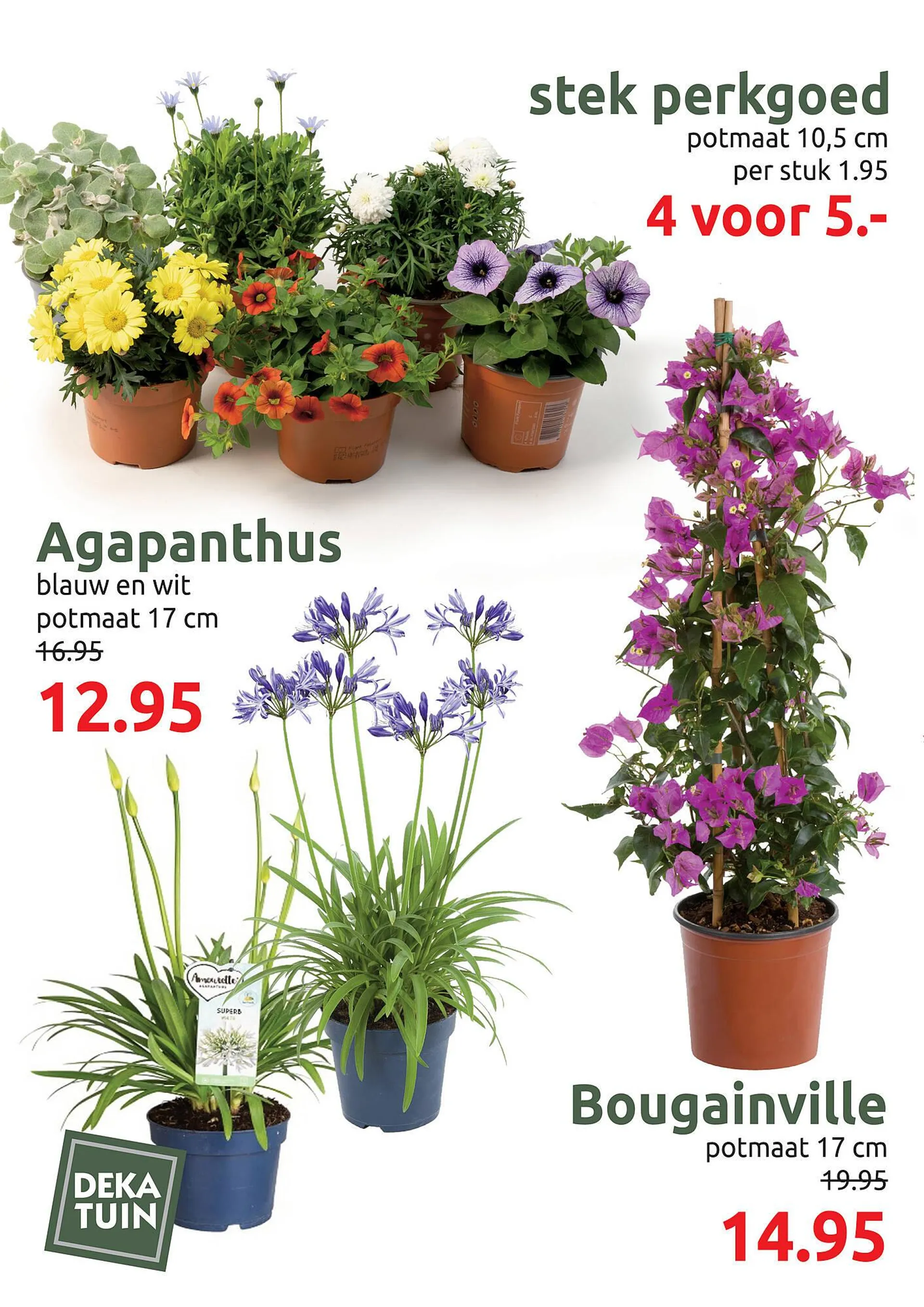 Deka Tuin folder van 12 mei tot 24 mei 2025 - Folder pagina 8