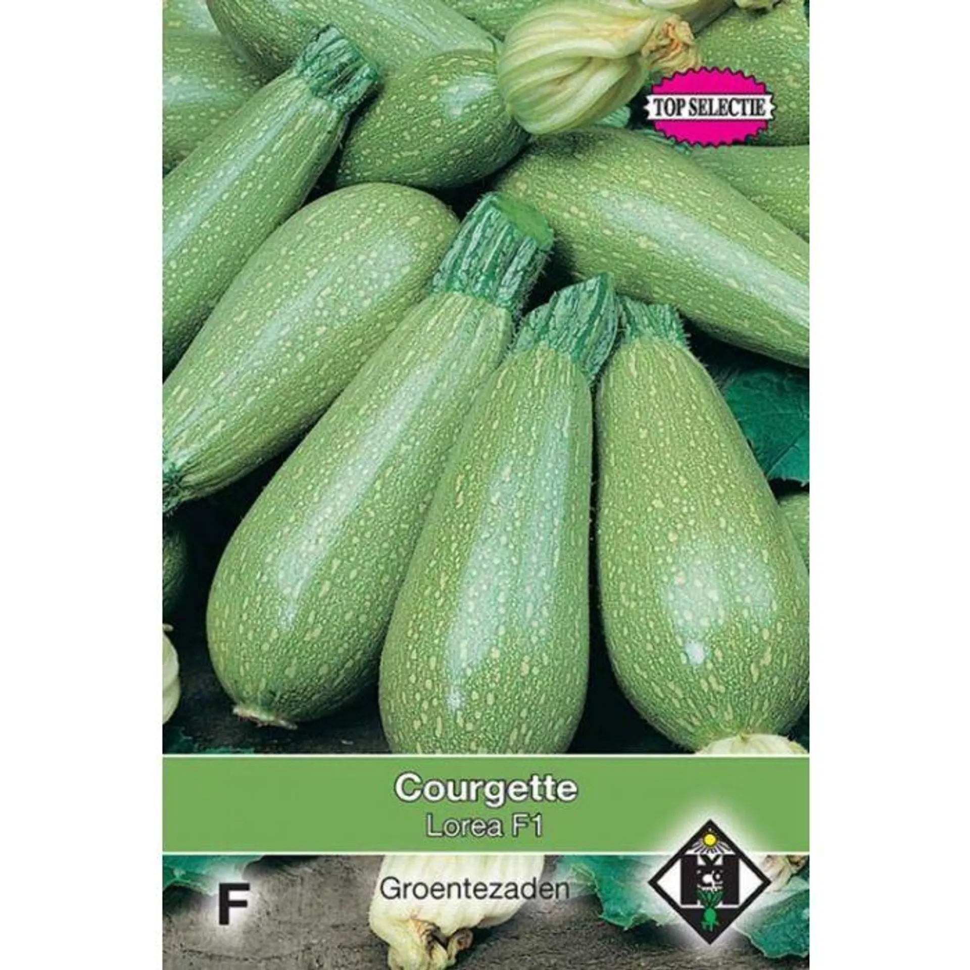 Courgette - Lorea F1