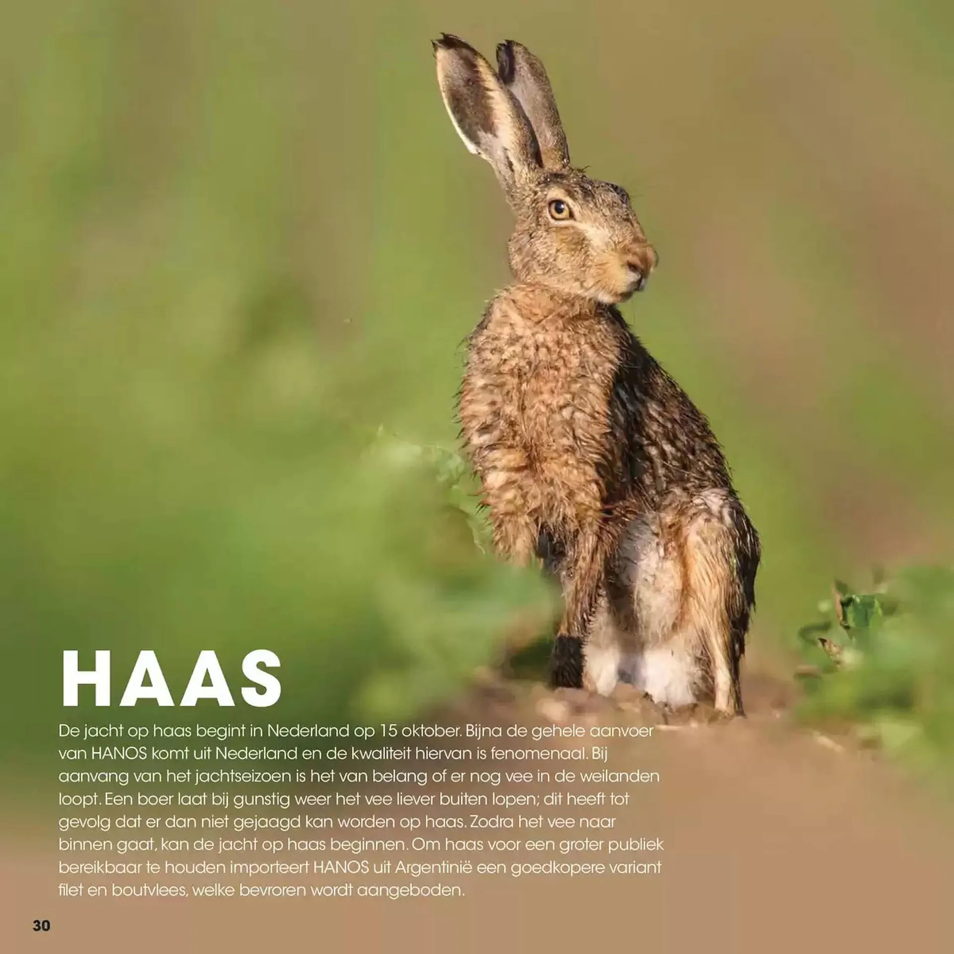 HANOS folder van 25 september tot 25 september 2025 - Folder pagina 30