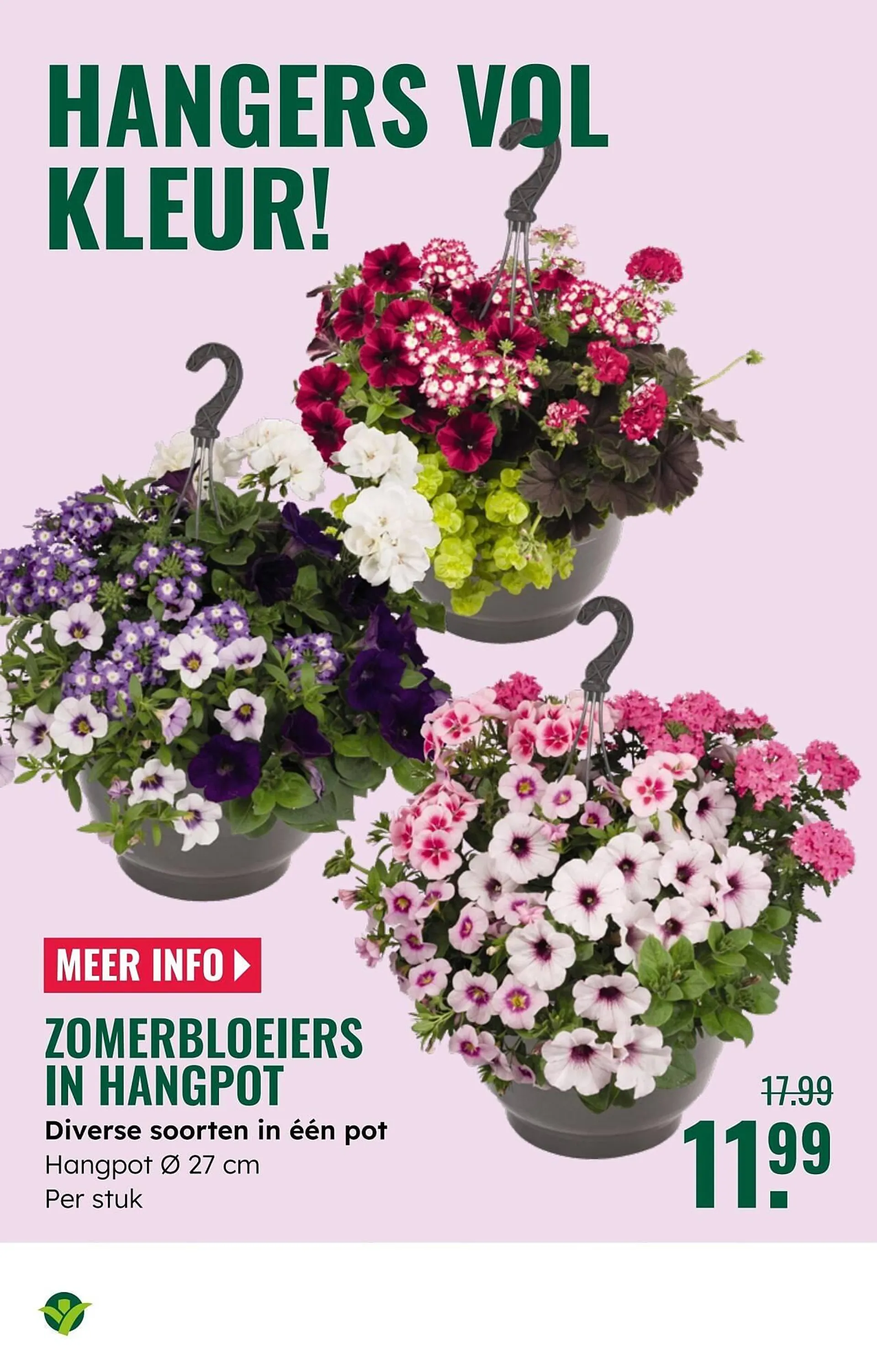 GroenRijk folder van 7 mei tot 13 mei 2025 - Folder pagina 4