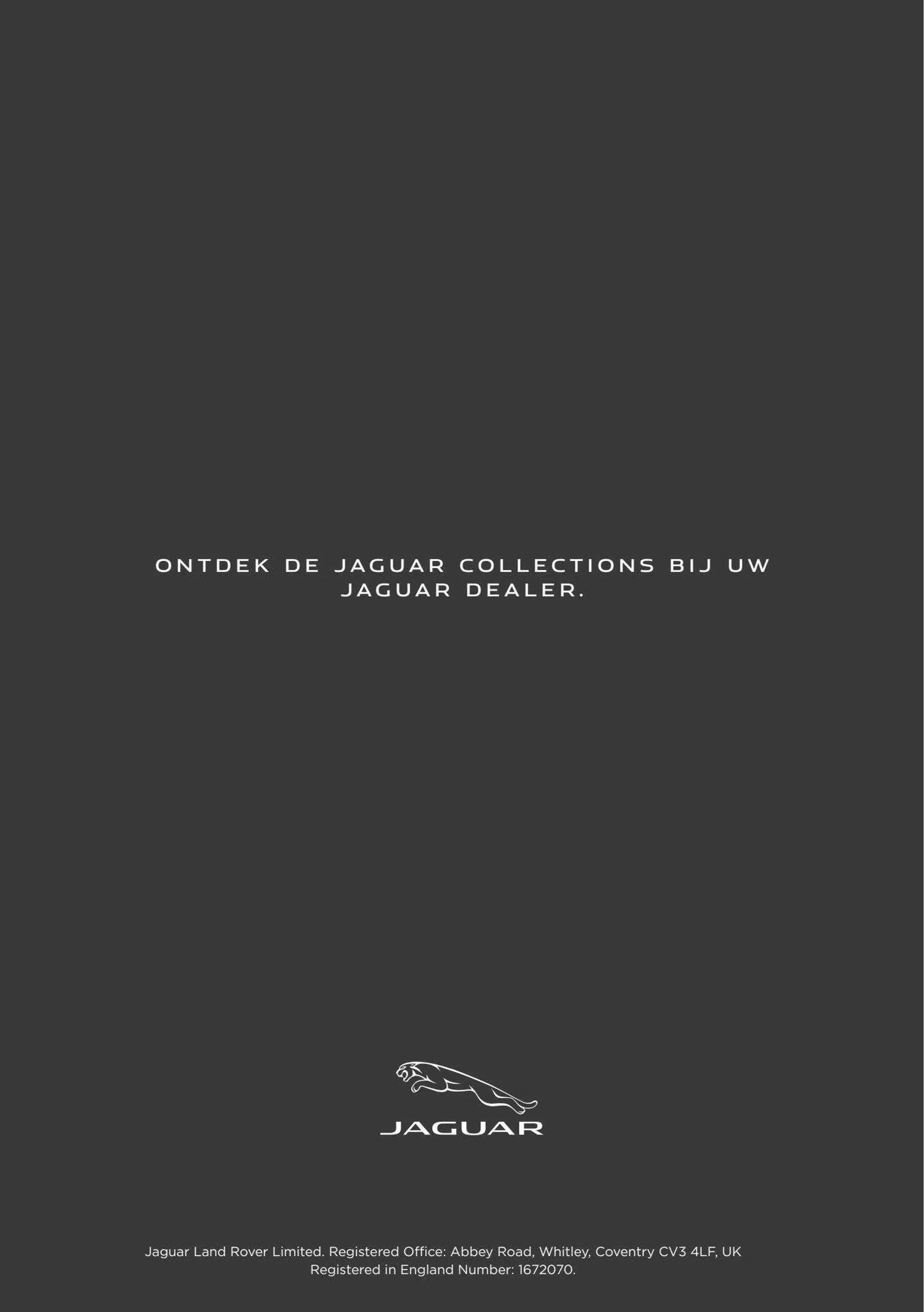Jaguar Folder - 64