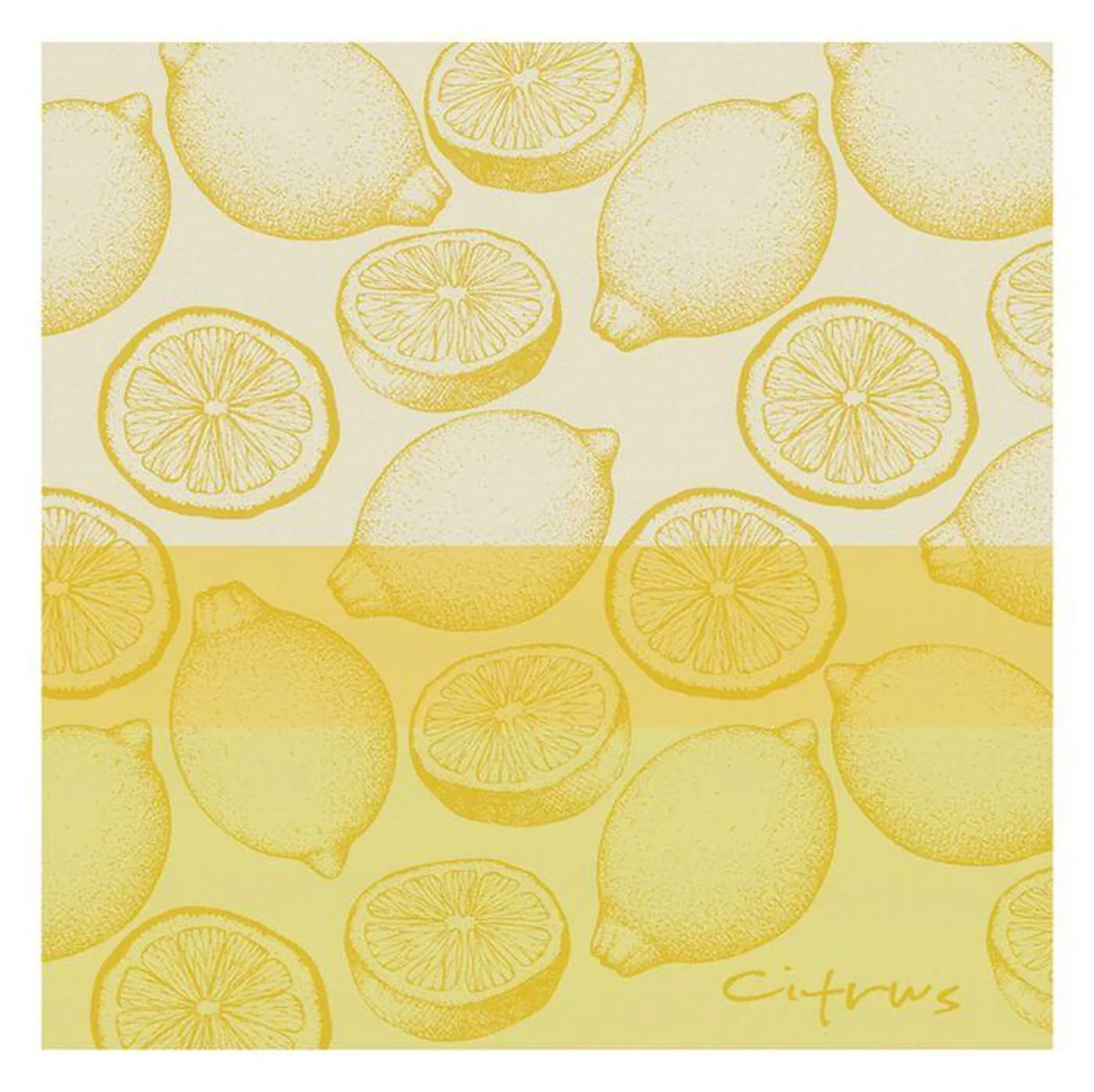 DDDDD Theedoek Citrus 60x65cm - yellow - set van 6