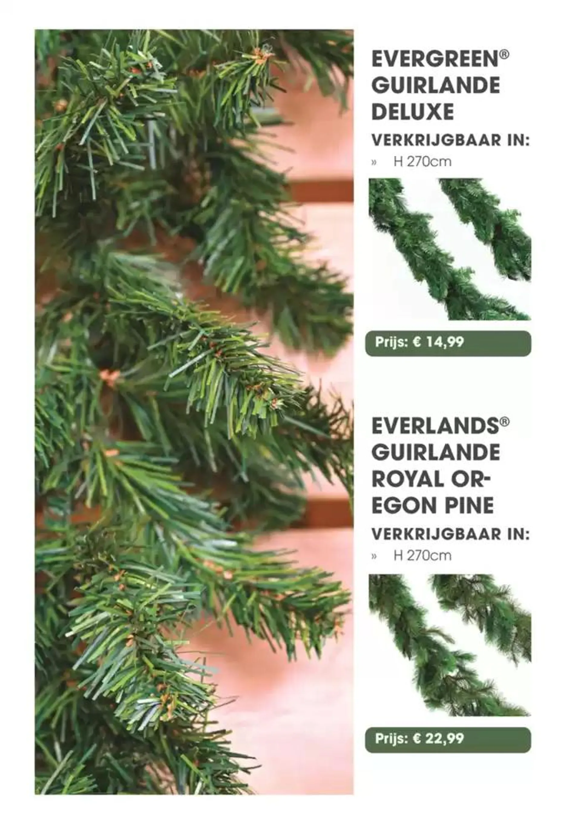 Exclusieve deals voor onze klanten van 19 oktober tot 2 november 2024 - Folder pagina 38