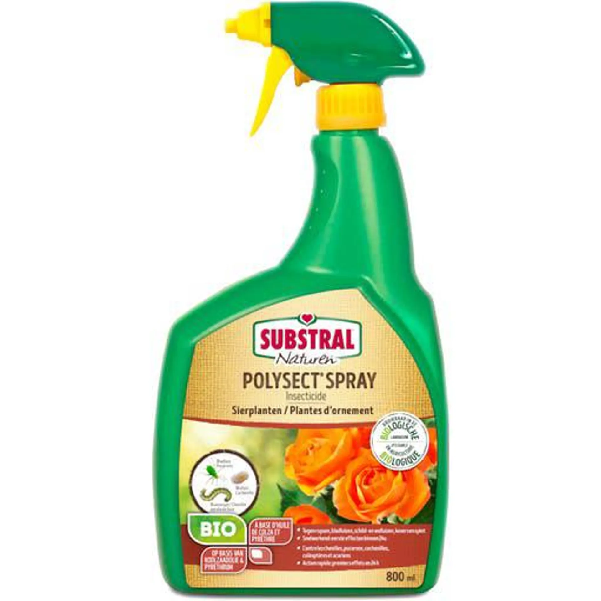 Insecticide Polysect spray 800 ml