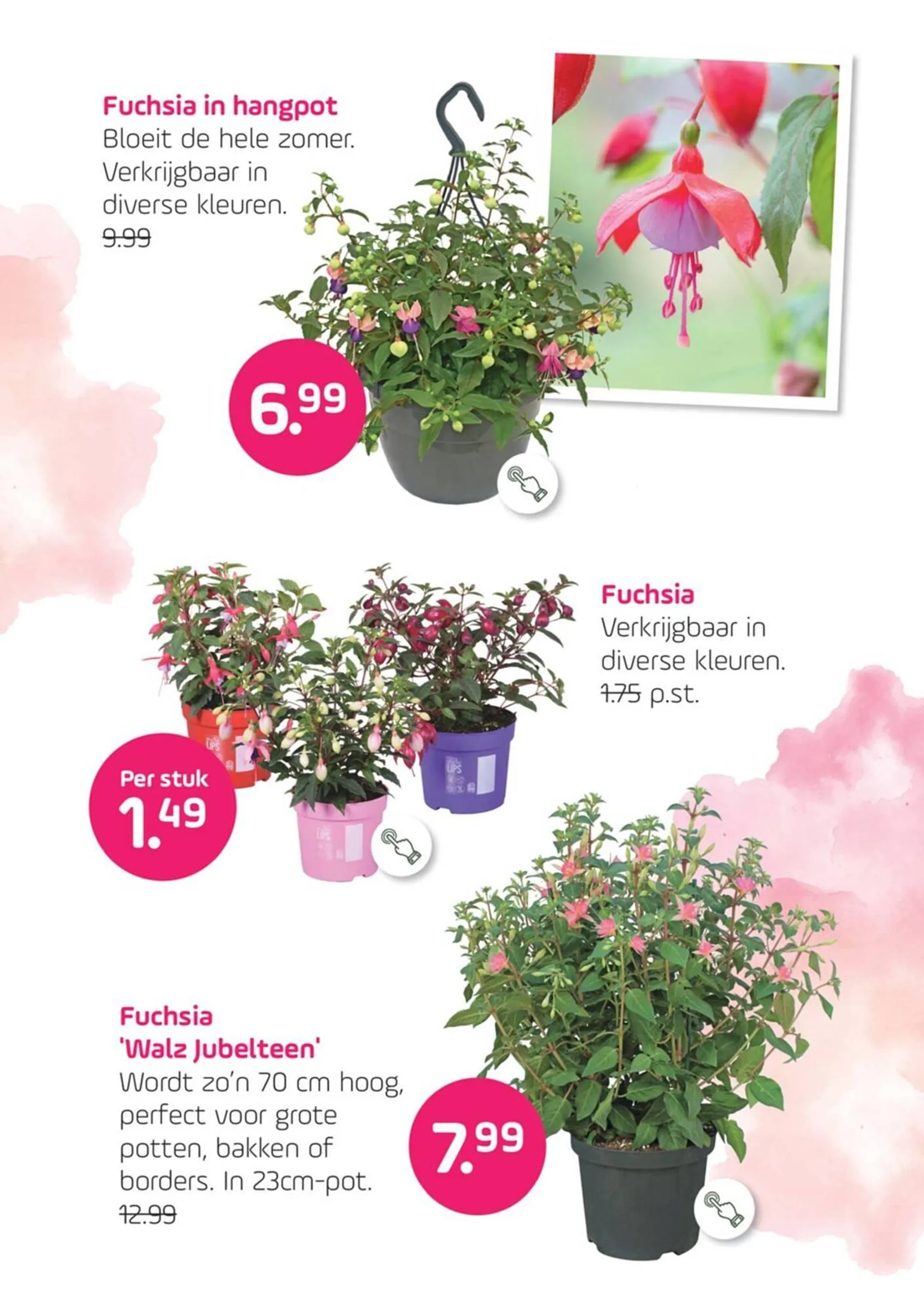 Coppelmans folder van 14 mei tot 25 mei 2025 - Folder pagina 2