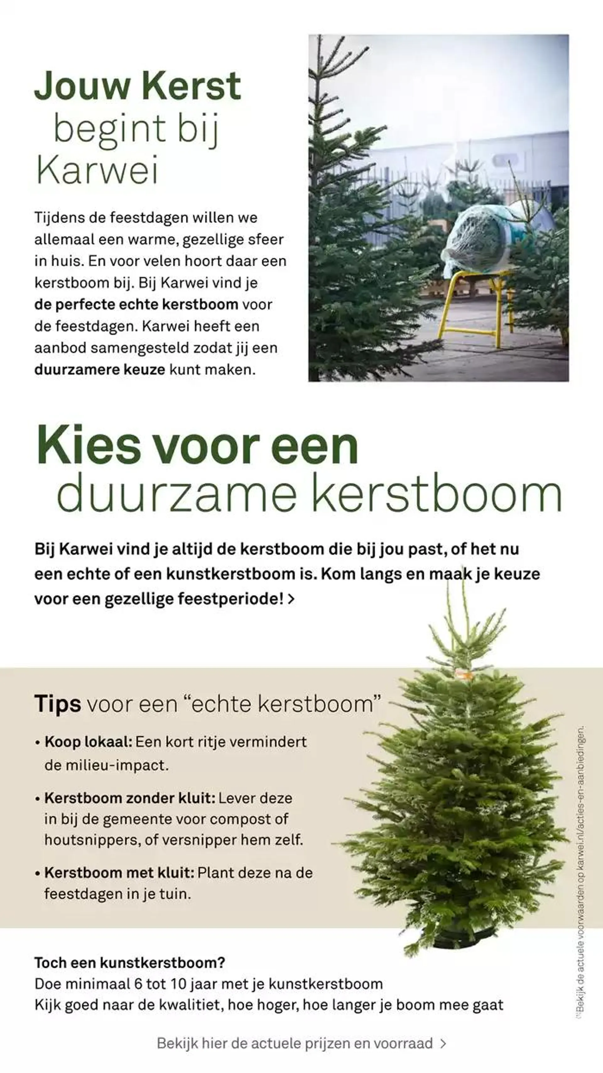 Exclusieve deals voor onze klanten van 20 december tot 3 januari 2025 - Folder pagina 4