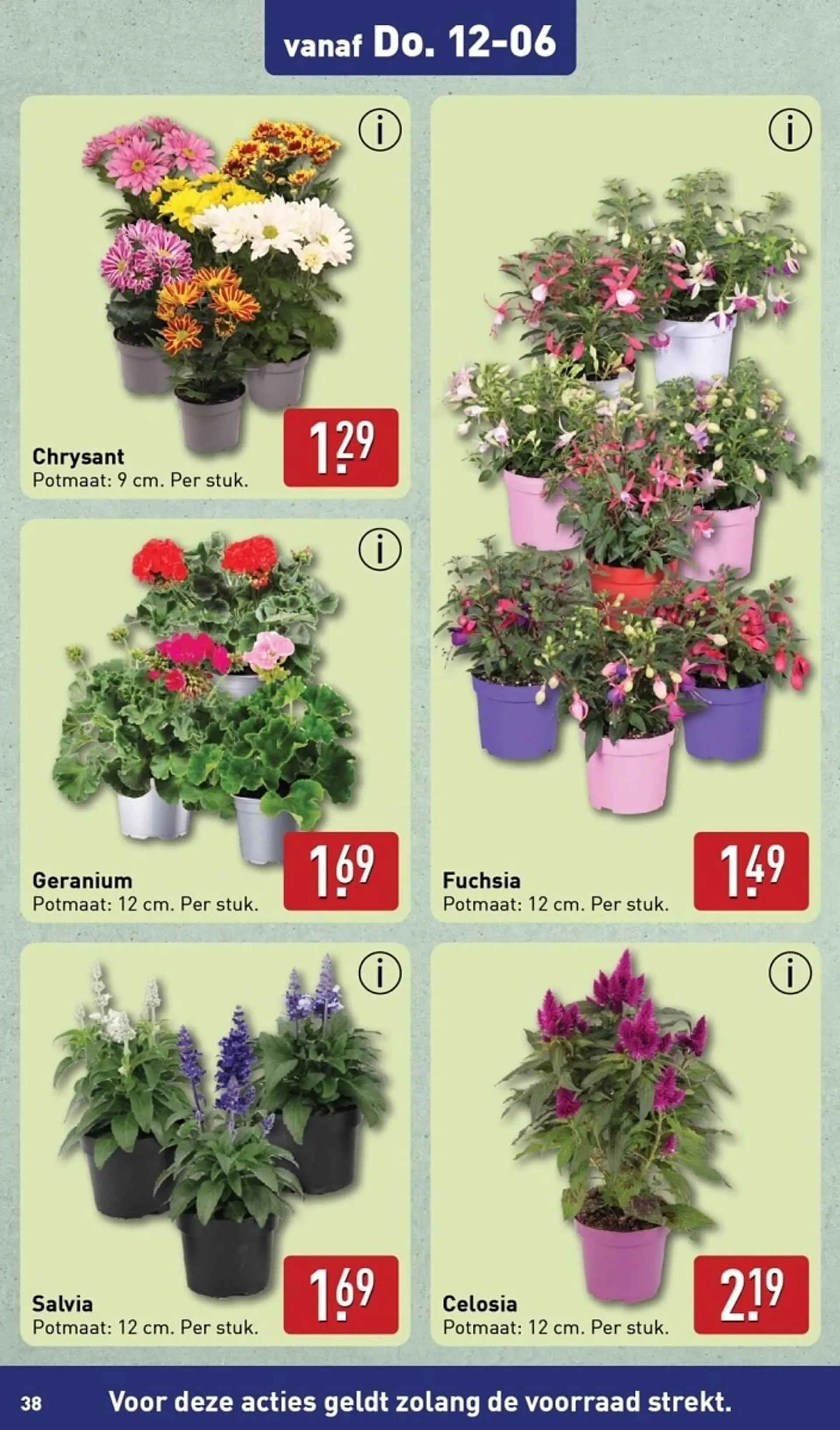 ALDI folder van 10 juni tot 15 juni 2025 - Folder pagina 38