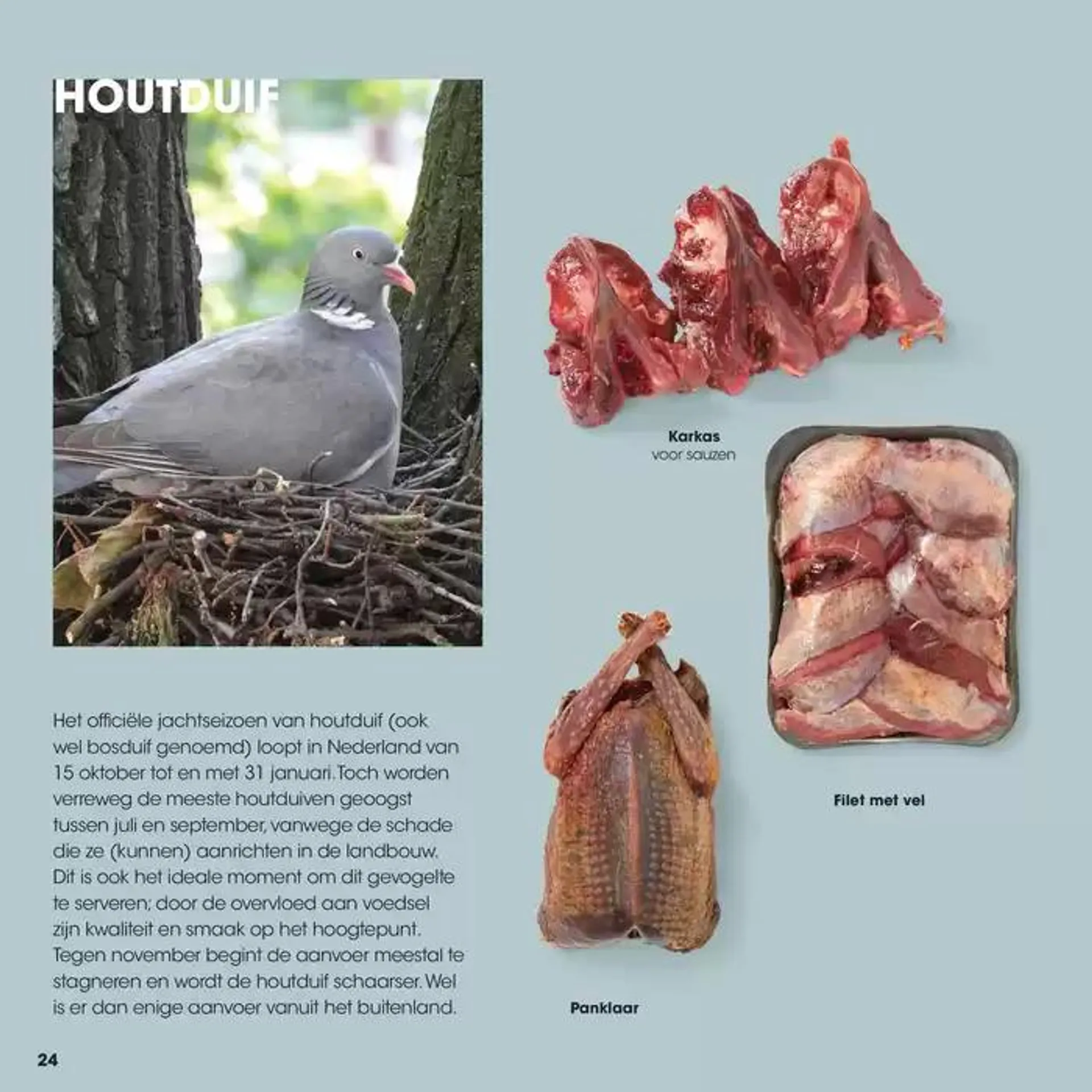 Wildbrochure 2024/2025 van 25 september tot 25 september 2025 - Folder pagina 24