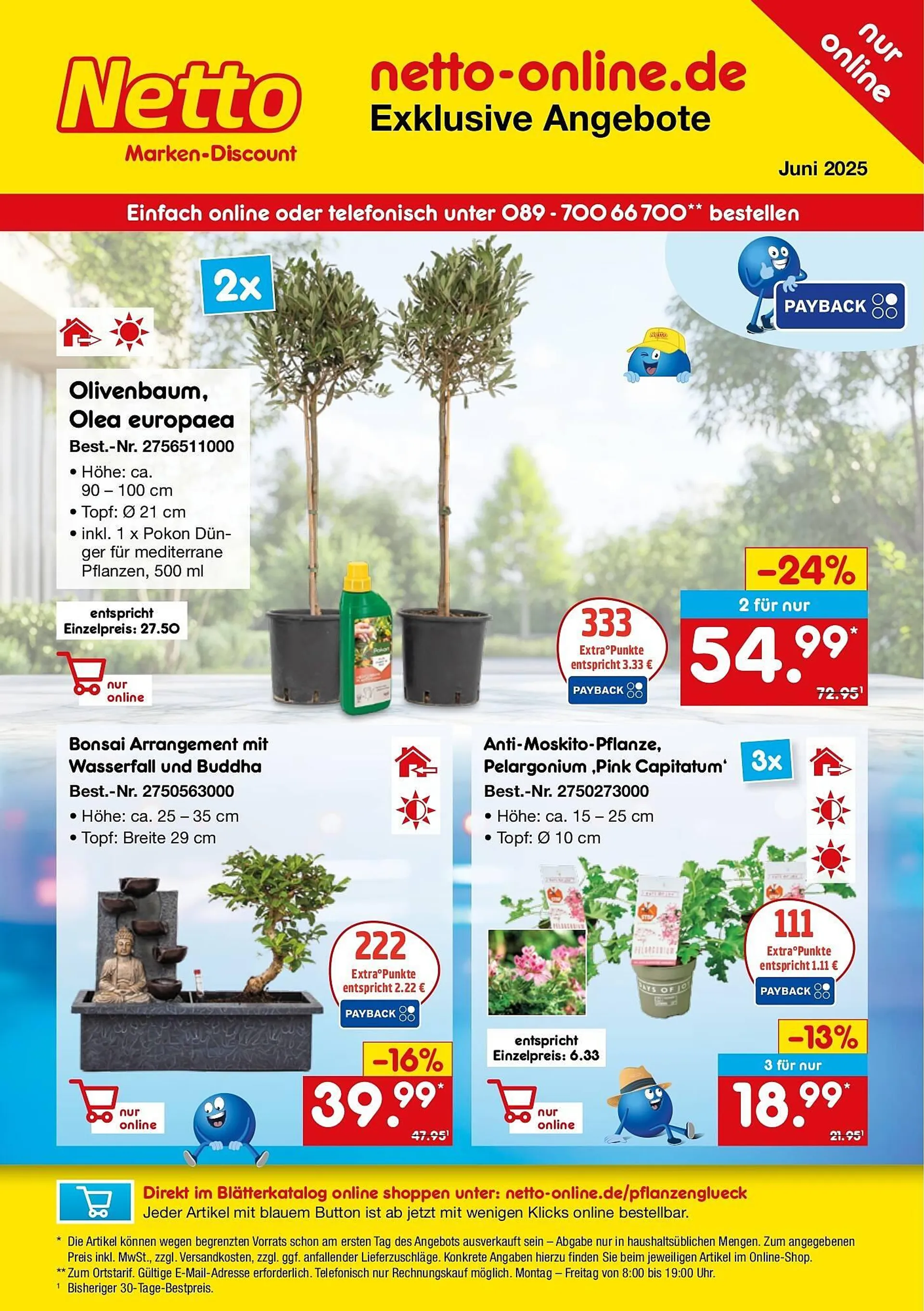 Netto Marken-Discount DE folder van 1 juni tot 30 juni 2025 - Folder pagina 1