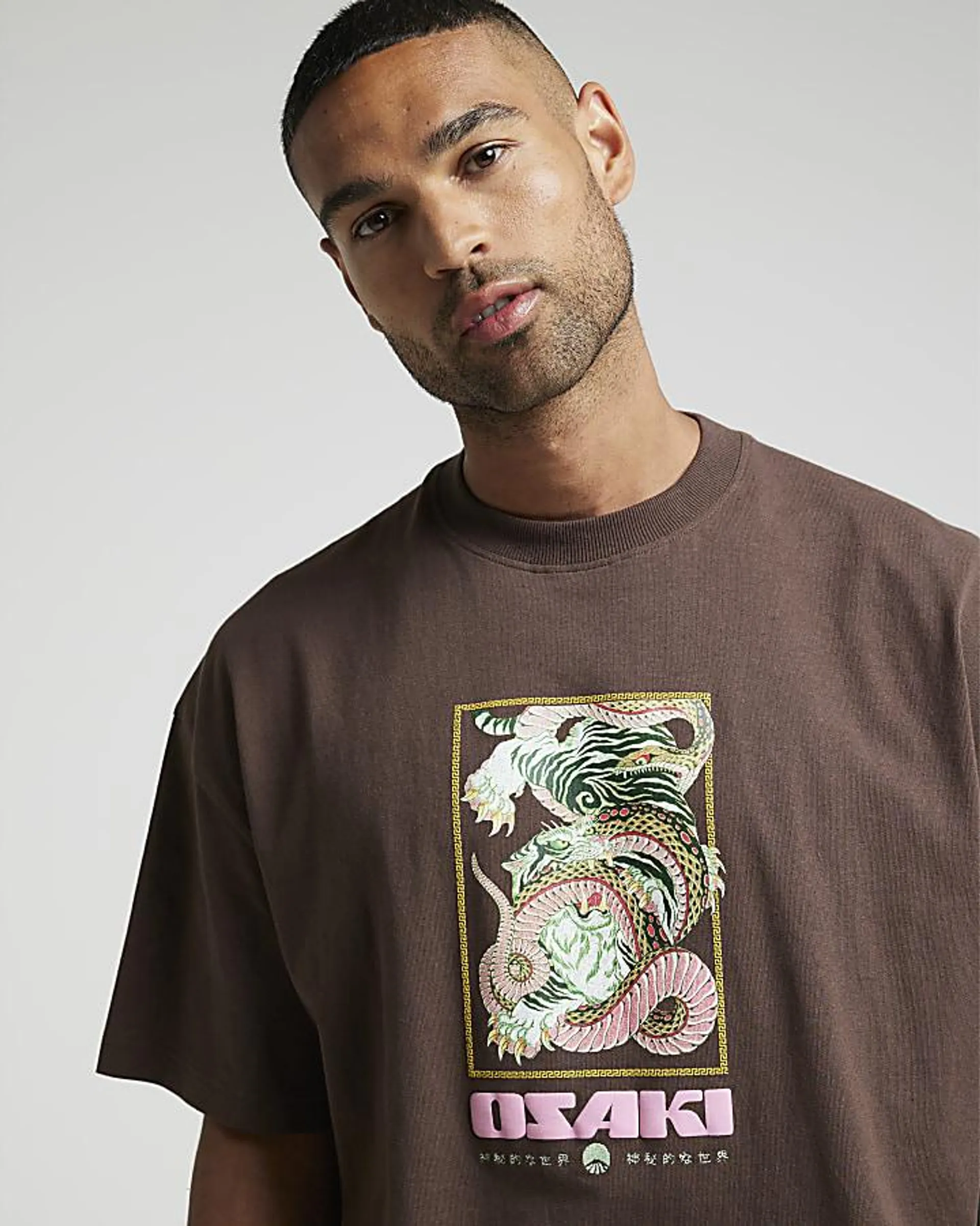 Brown regular fit tiger graphic t-shirt