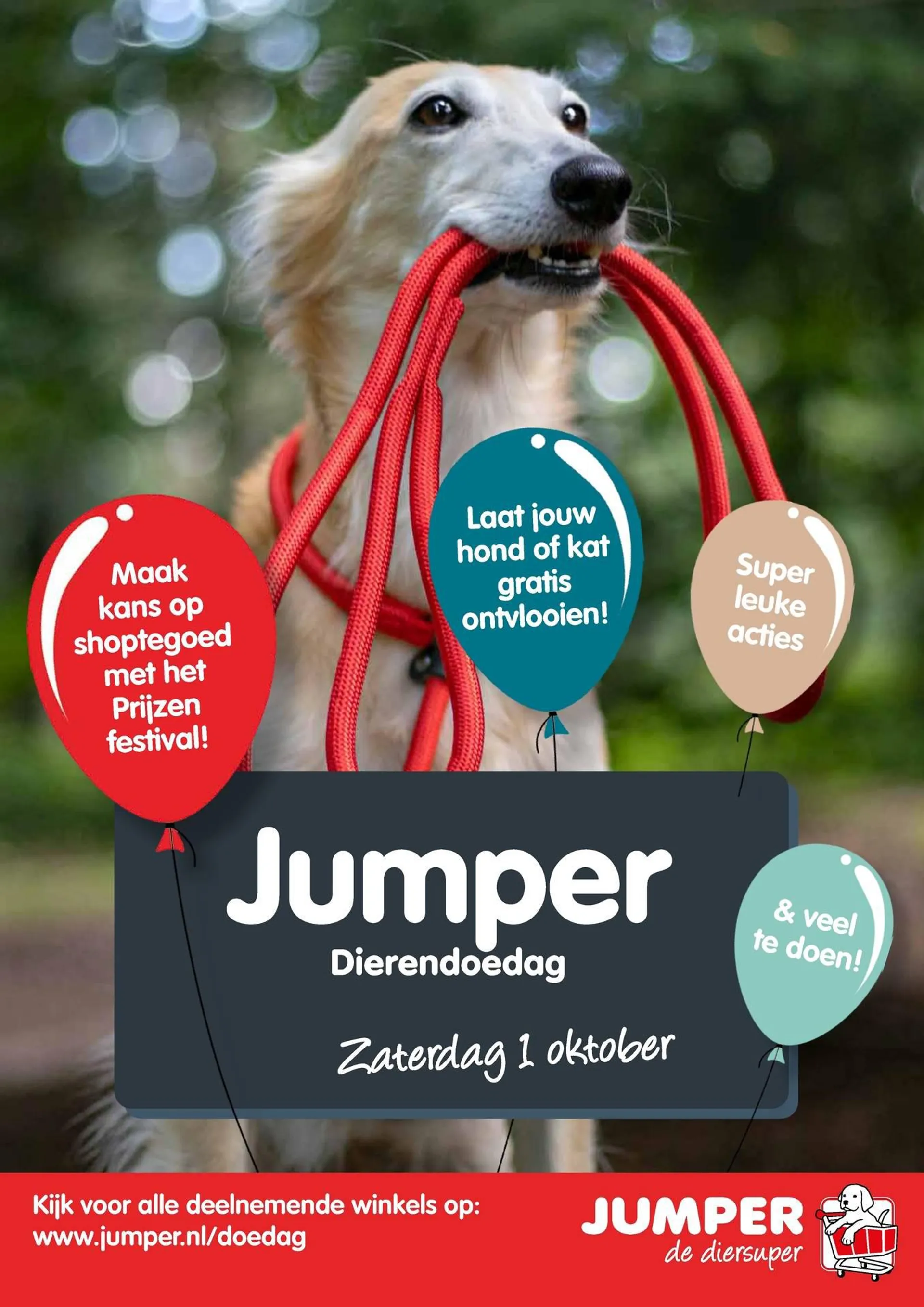 Jumper Folder - 2