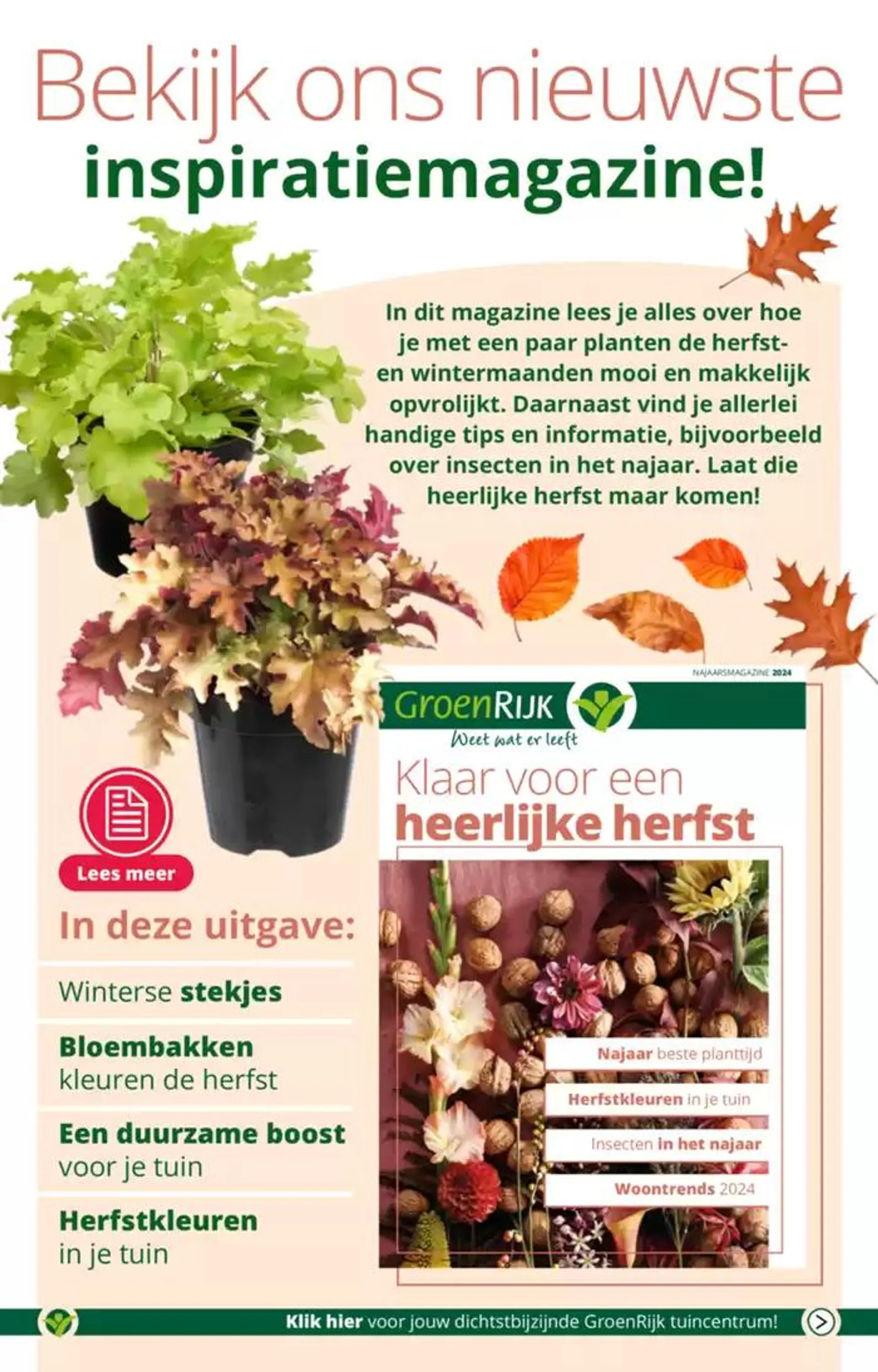 GroenRijk folder van 9 oktober tot 23 oktober 2024 - Folder pagina 5