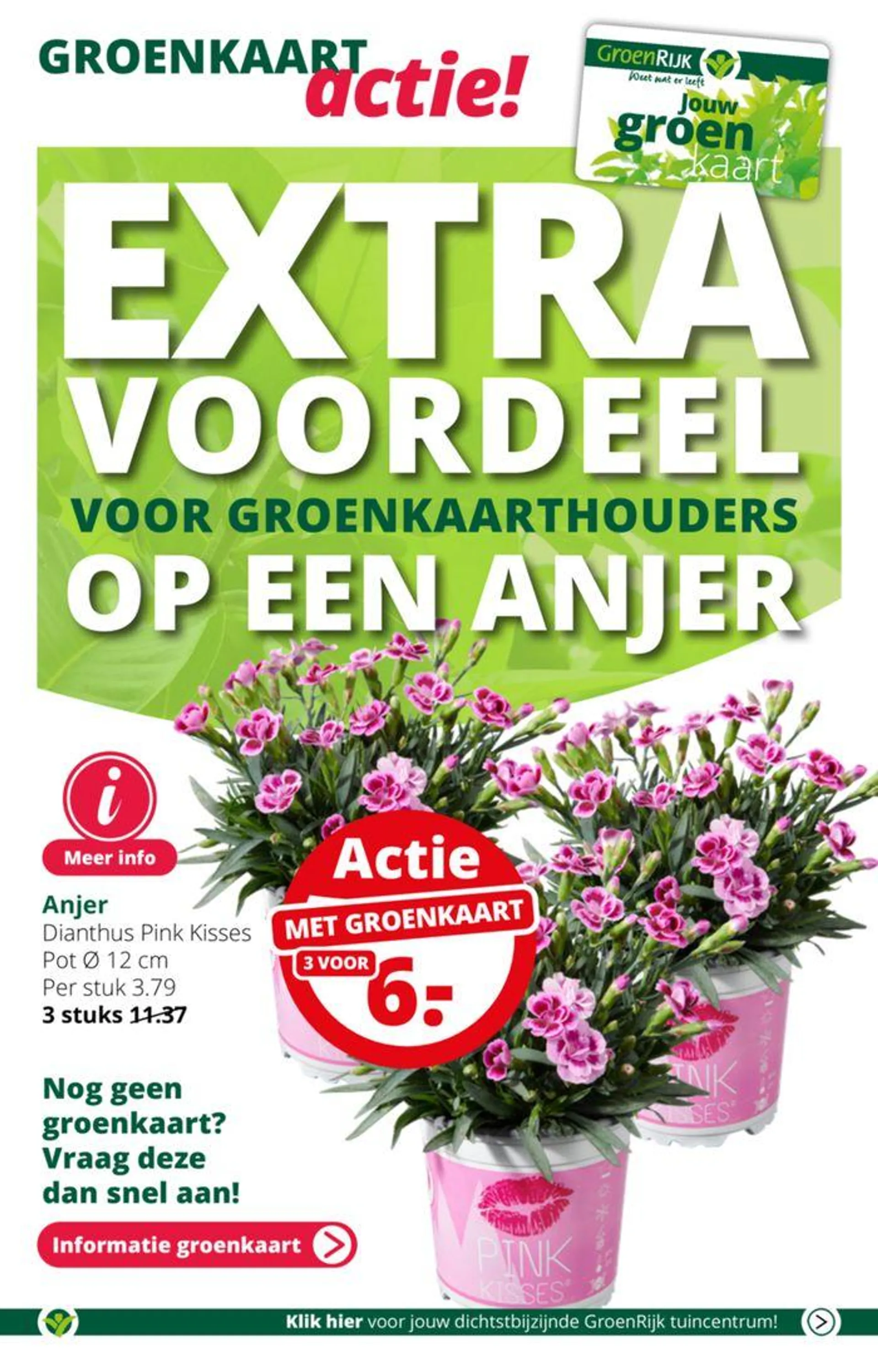 Fleur je tuin of terras op met kleur! van 15 mei tot 29 mei 2024 - Folder pagina 17