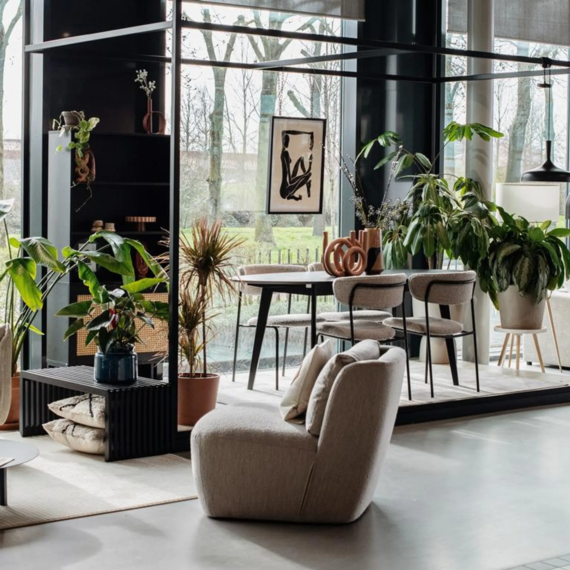 Spinder Design Rex Schoenenrek