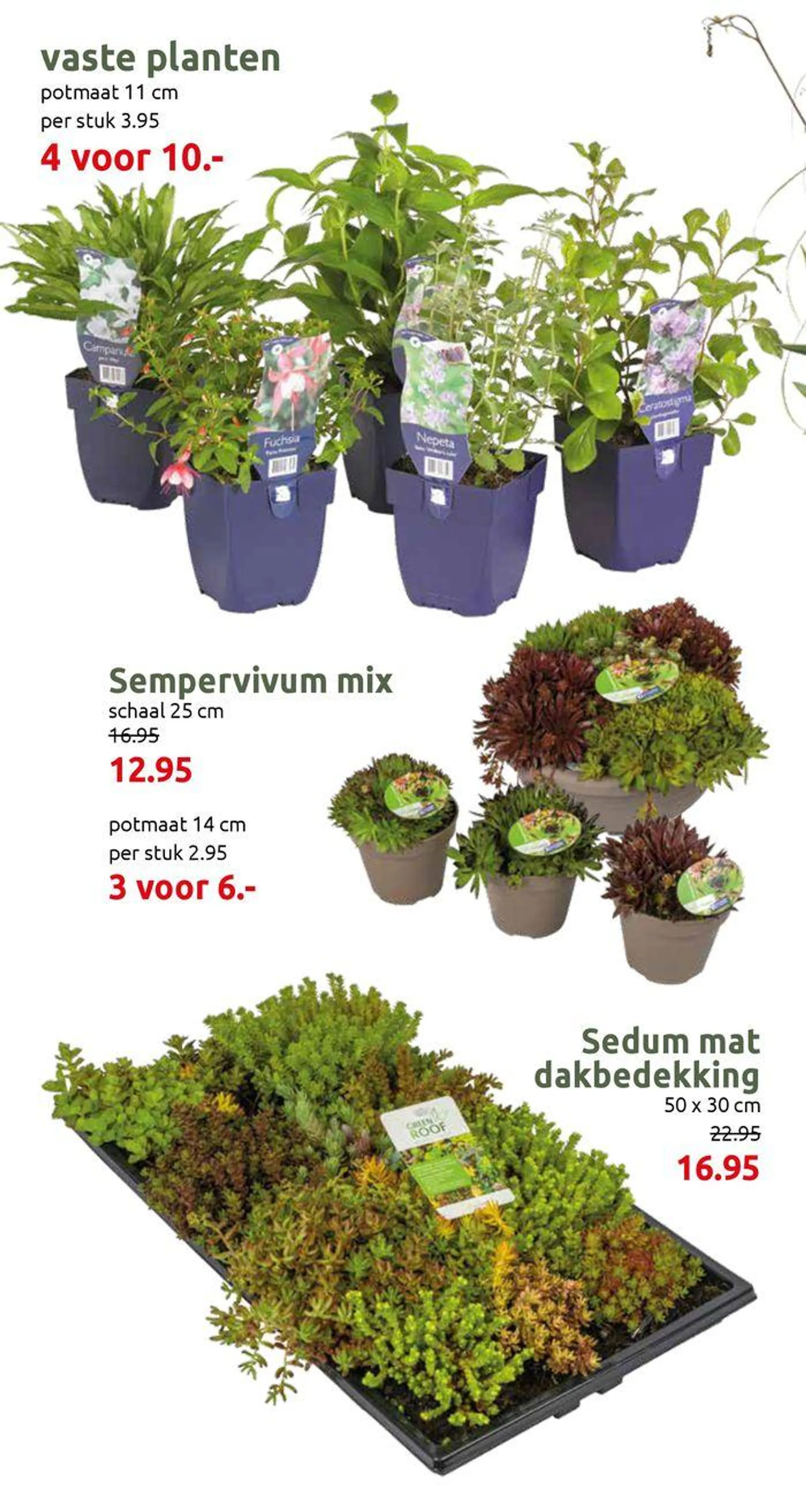 Kleurrijke variaties - 10