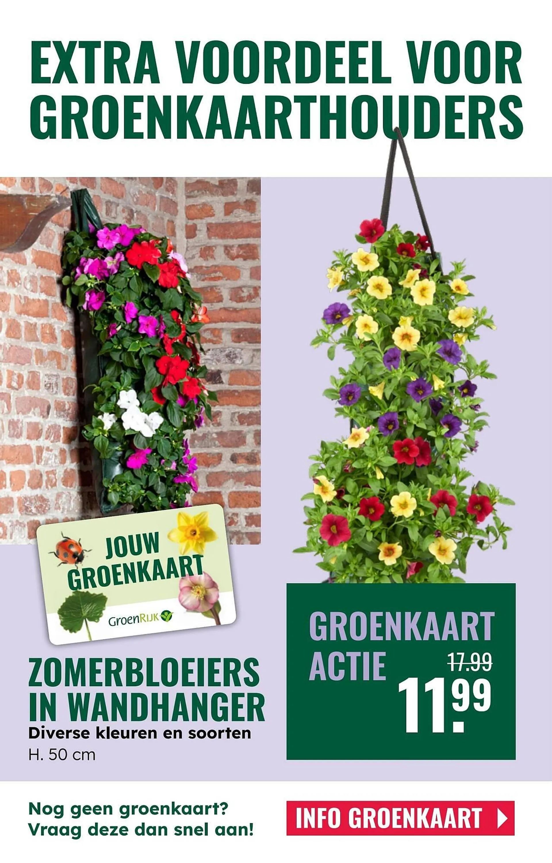 GroenRijk folder van 7 mei tot 13 mei 2025 - Folder pagina 8