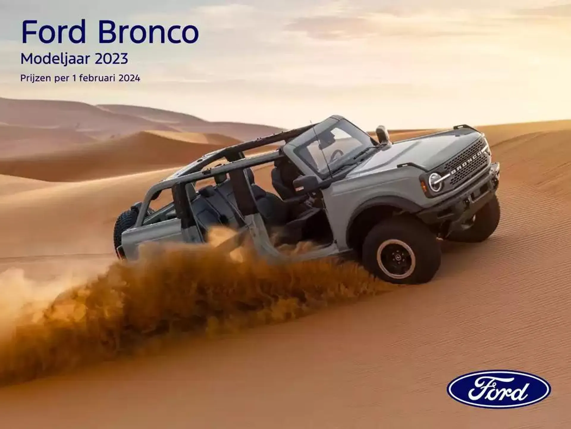 Ford Bronco - 1