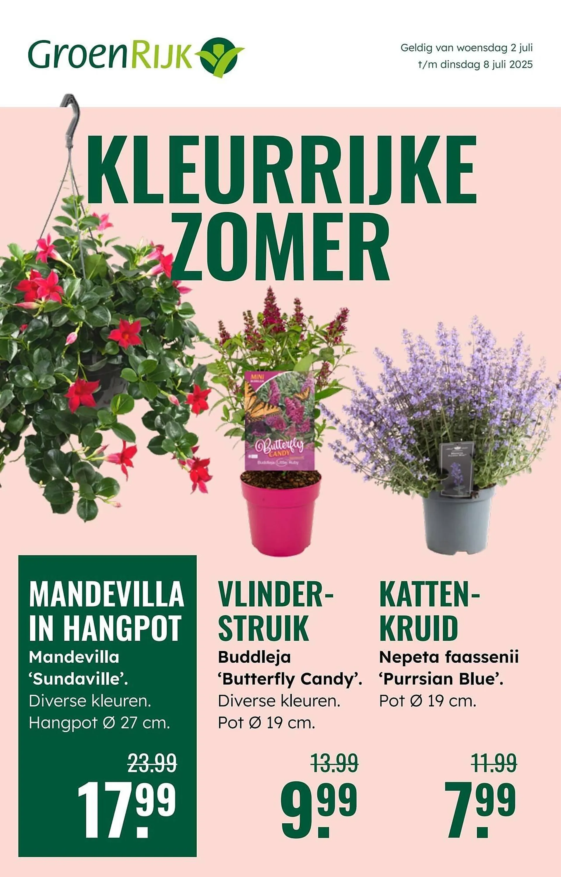 GroenRijk folder van 2 juli tot 8 juli 2025 - Folder pagina 1