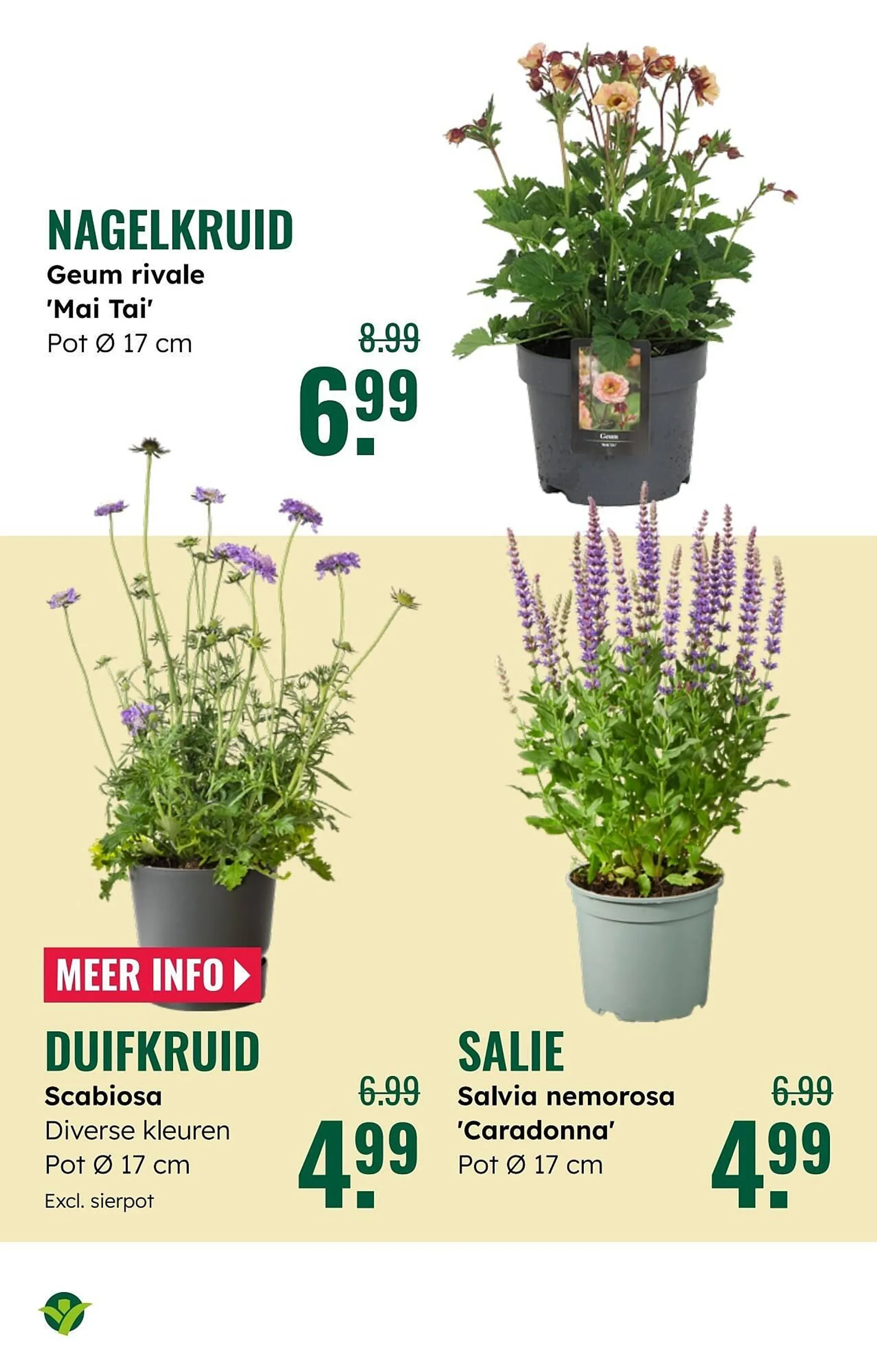 GroenRijk folder van 7 mei tot 13 mei 2025 - Folder pagina 17