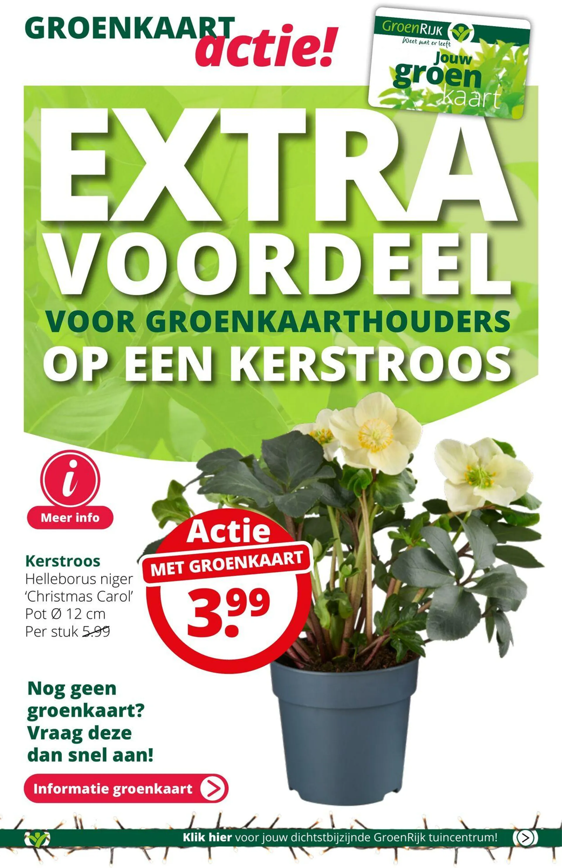 GroenRijk Actuele folder van 15 april tot 29 april 2025 - Folder pagina 12