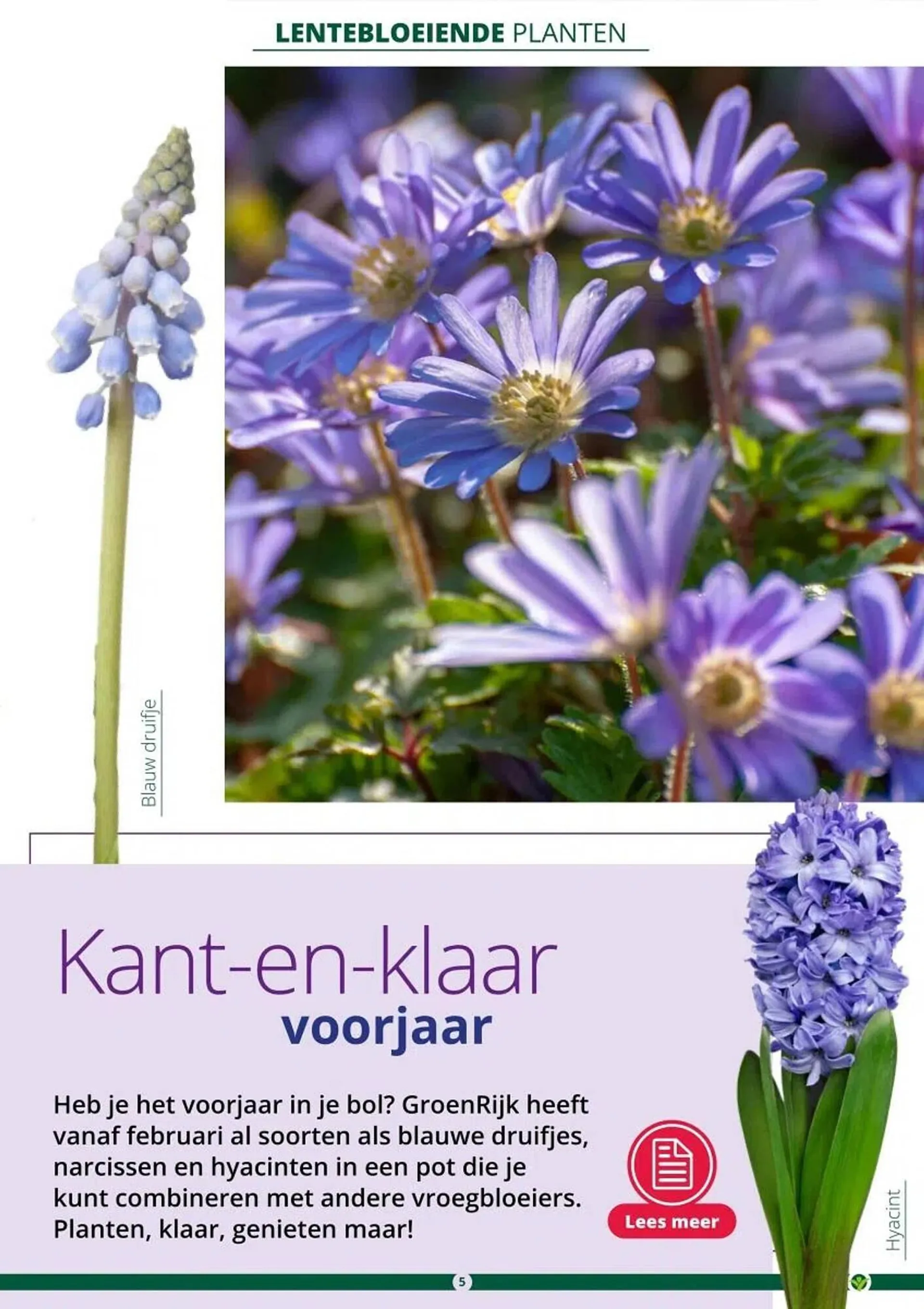 GroenRijk folder van 1 maart tot 30 juni 2024 - Folder pagina 5