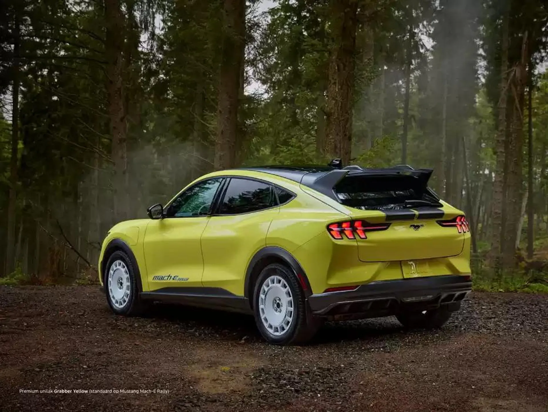 Mustang Mach-E van 19 november tot 30 juni 2025 - Folder pagina 14