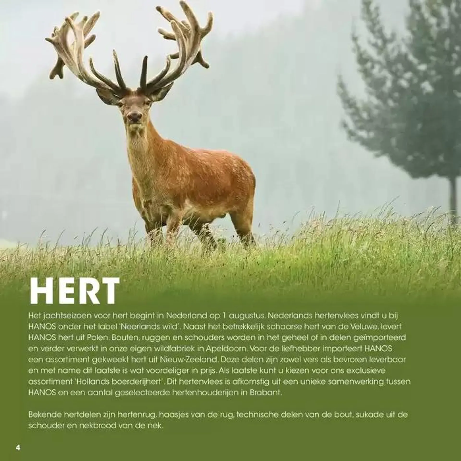 Wildbrochure 2024/2025 van 25 september tot 25 september 2025 - Folder pagina 4