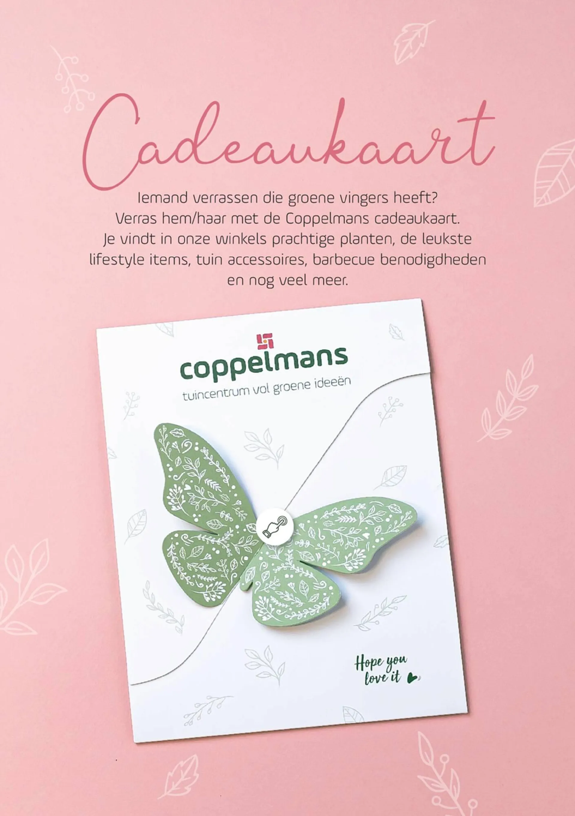 Coppelmans folder van 5 februari tot 16 februari 2025 - Folder pagina 9