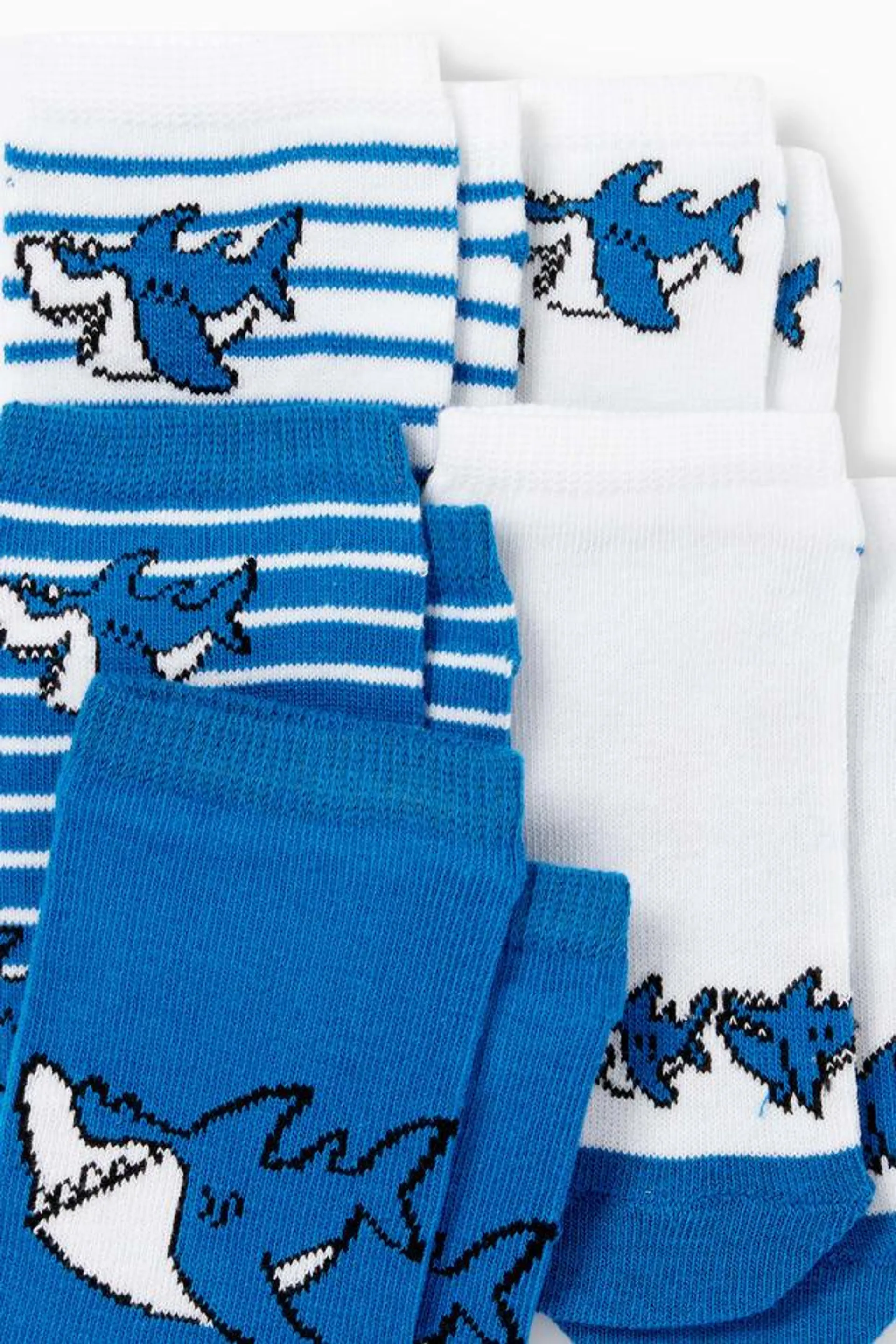 Multipack of 5 - shark - trainer socks with motif