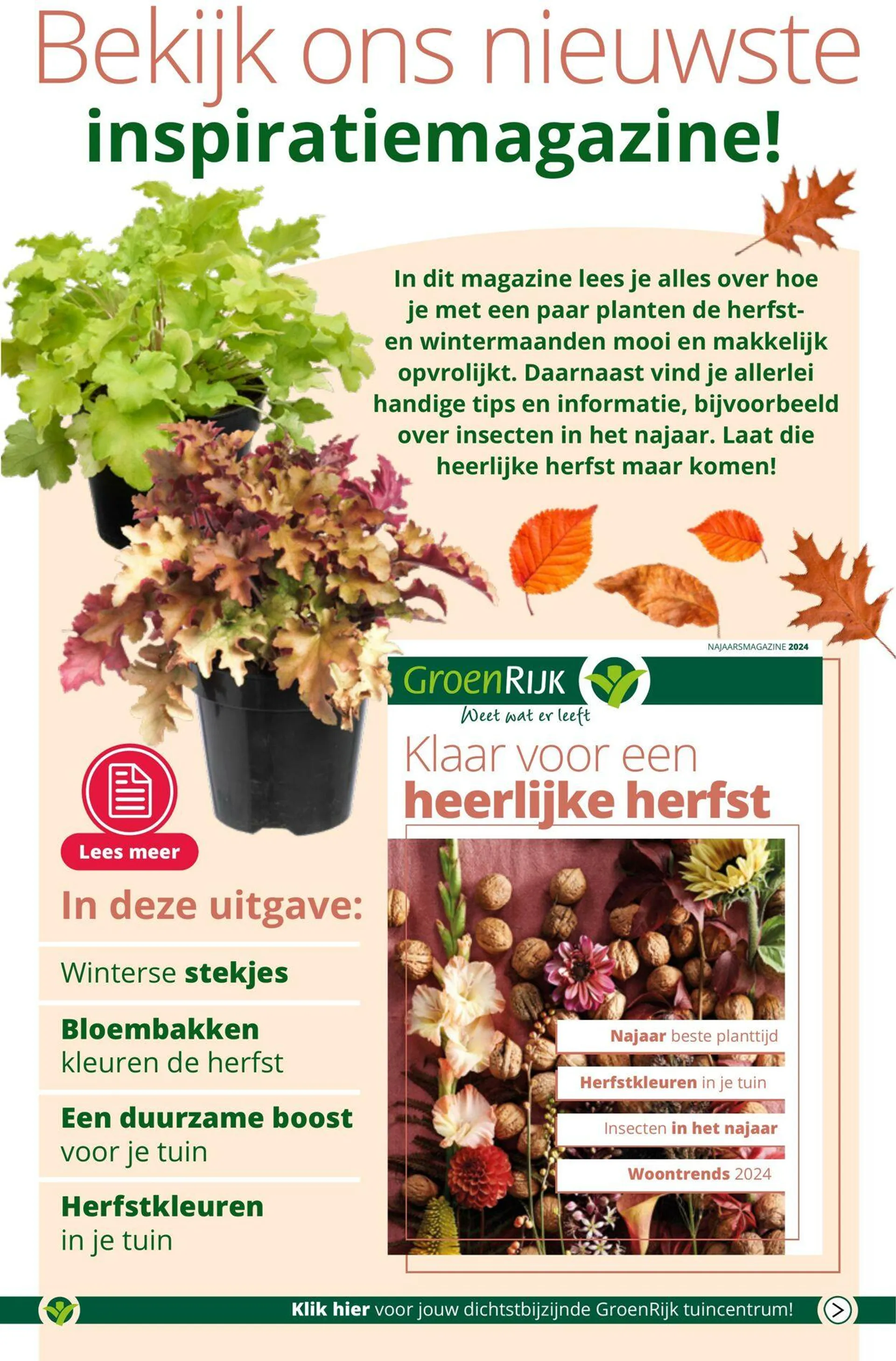 GroenRijk Actuele folder van 10 december tot 24 december 2024 - Folder pagina 7