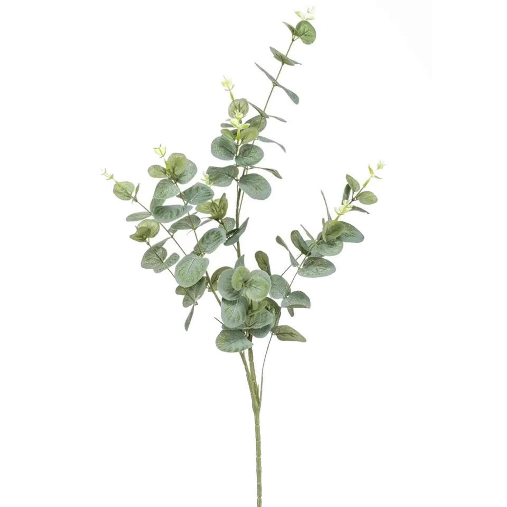 Bellatio flowers & plants Kunstblad - eucalyptus - groen - 75 cm