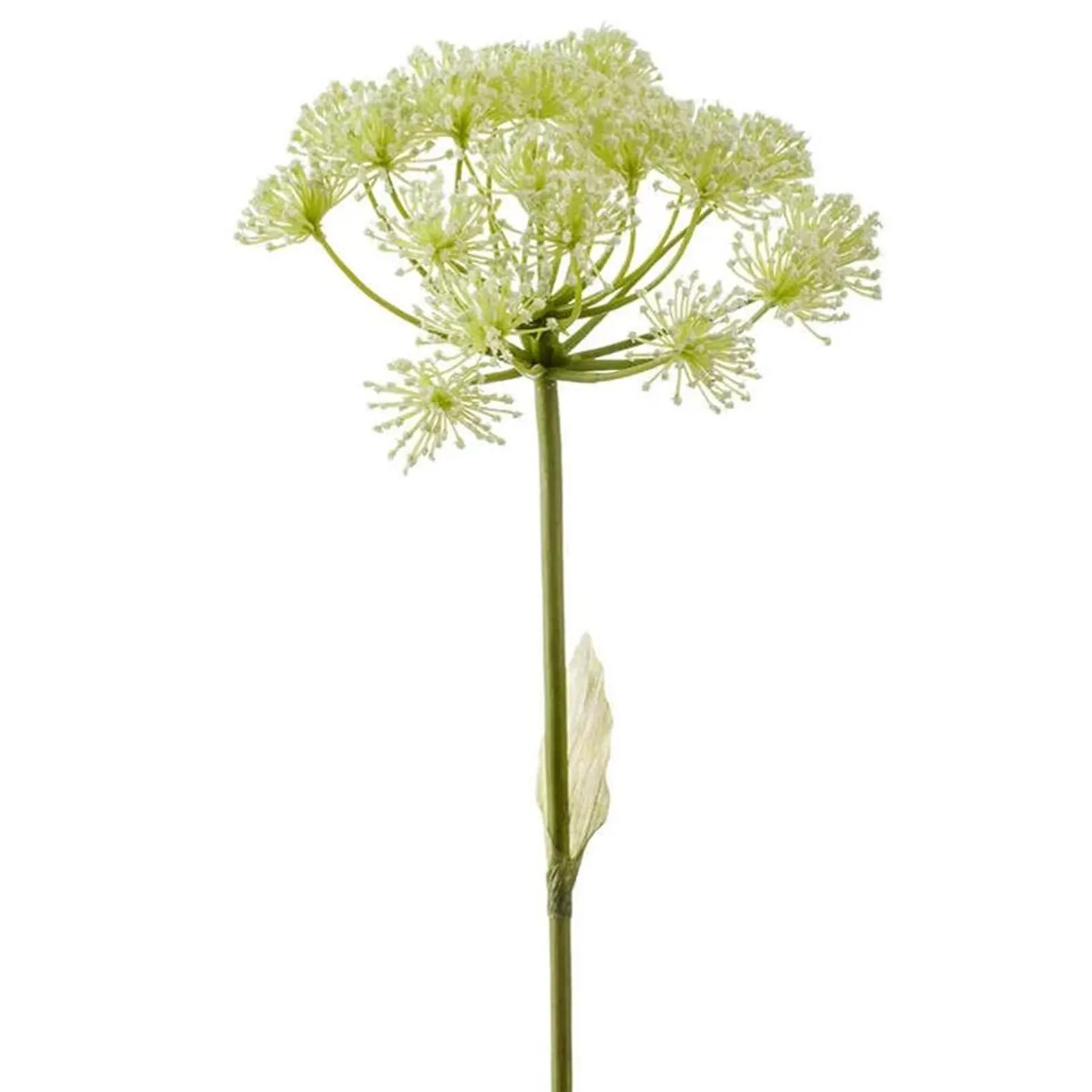 Emerald Kunstbloem - Kunstbloem Berenklauw - 78 cm - wit - Heracleum