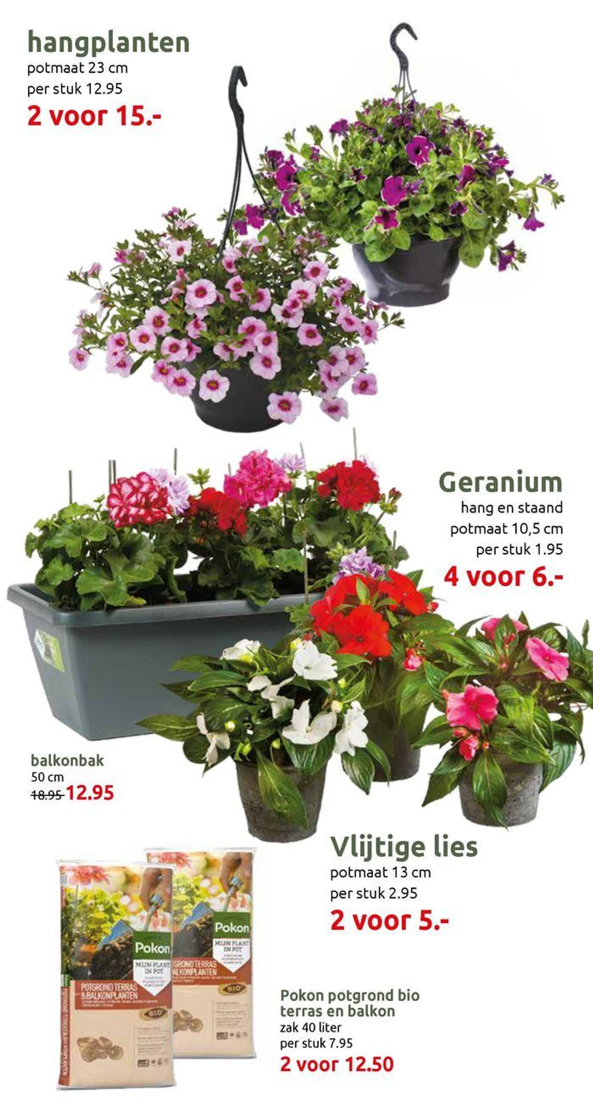 Kleurrijke variaties - 8