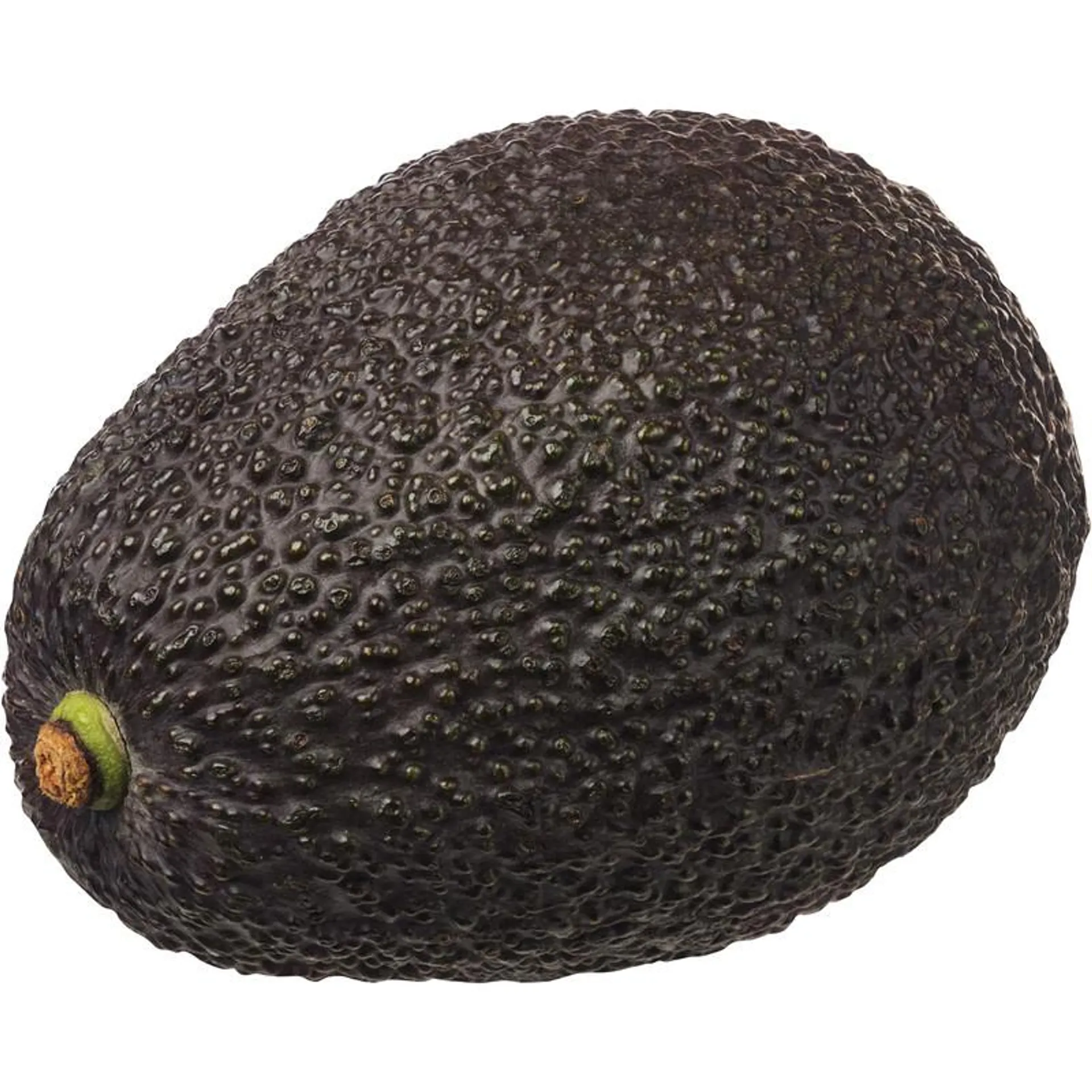 AH Avocado