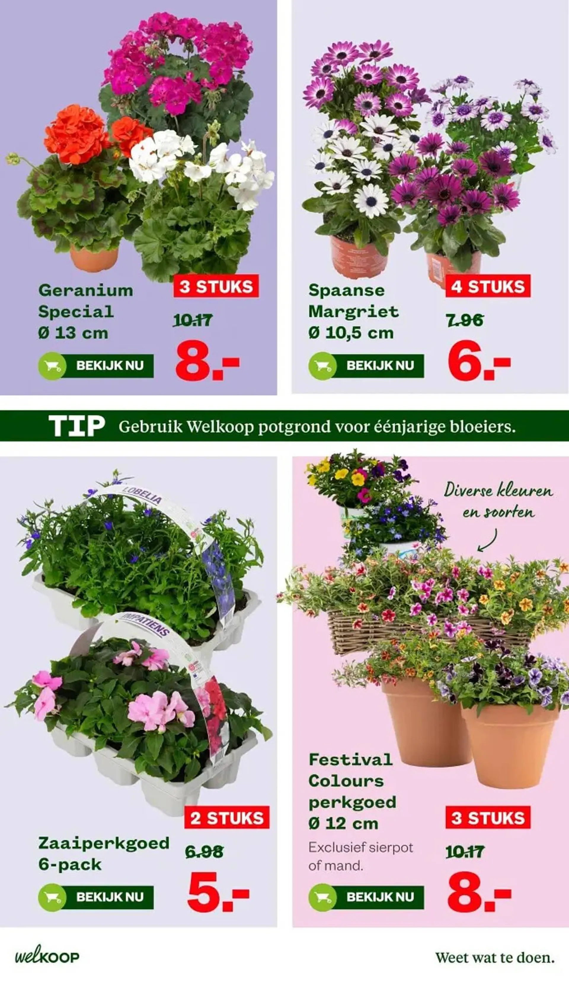 Welkoop folder van 28 april tot 11 mei 2025 - Folder pagina 3